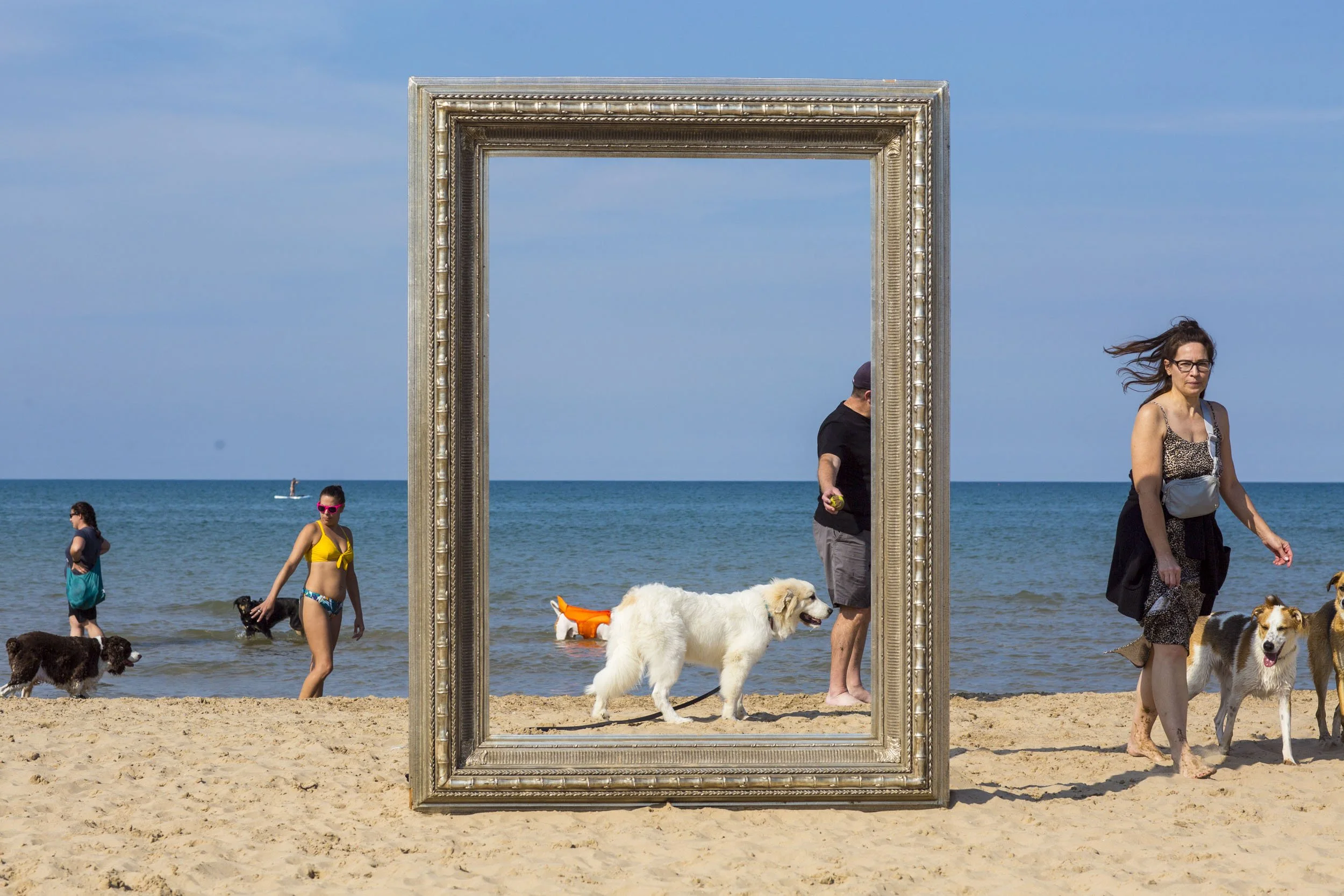 26_FramedinChicago_MontroseDogBeachForWebsite-32.jpg