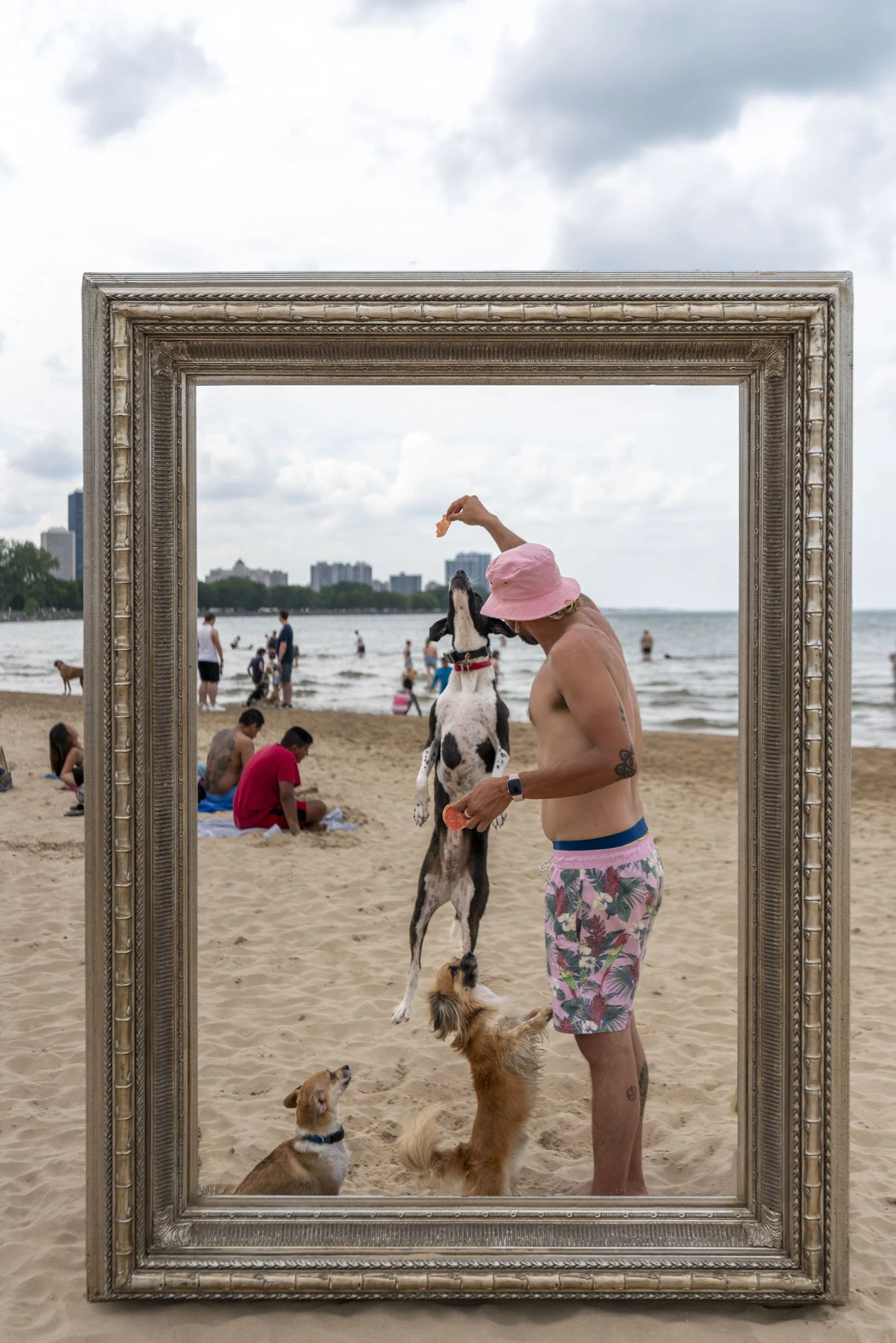 26_FramedinChicago_MontroseDogBeach2ForWebsite-14.jpg