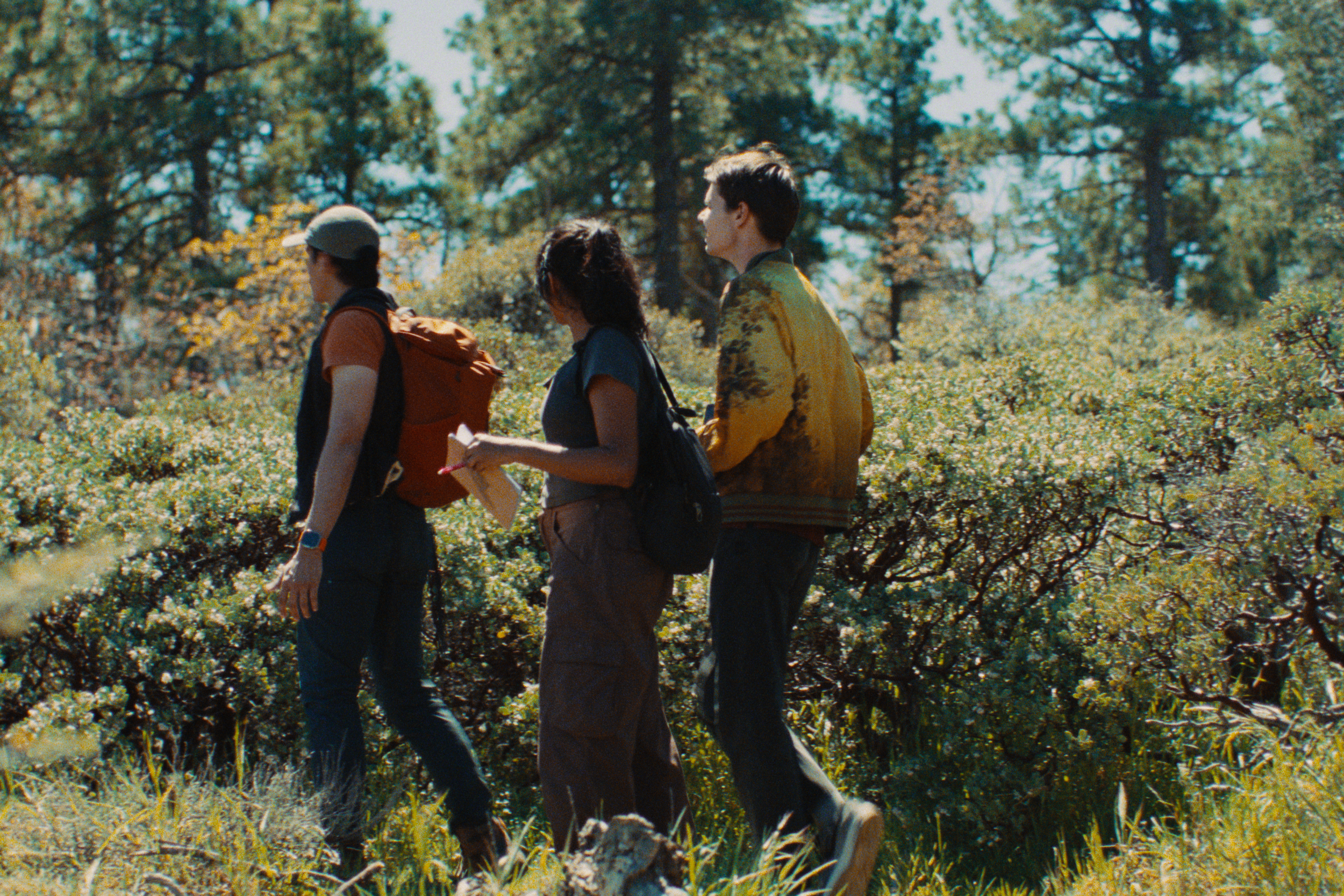 Group of four young people walking through a forested area with trees and shrubs, carrying backpacks and wearing casual outdoor clothing in a sunny environment.