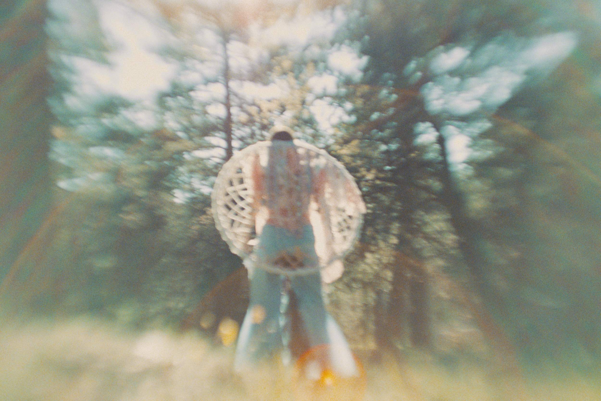 A person walking away in a forest with tall trees, wearing a jacket with wings painted on the back, in a blurry, artistic photograph.