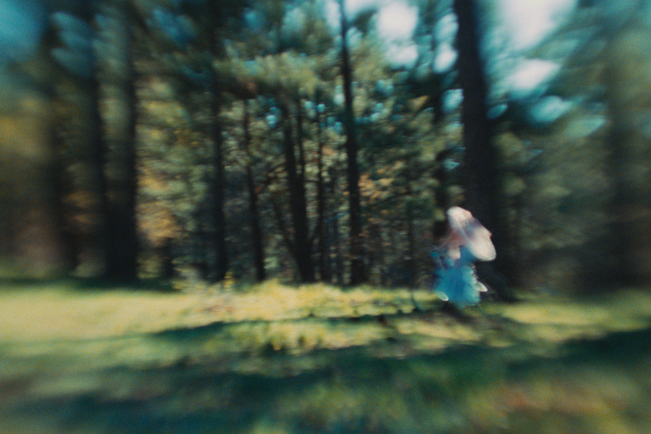 A blurry photo of tall trees in a forest with a person wearing a raincoat walking through the woods.