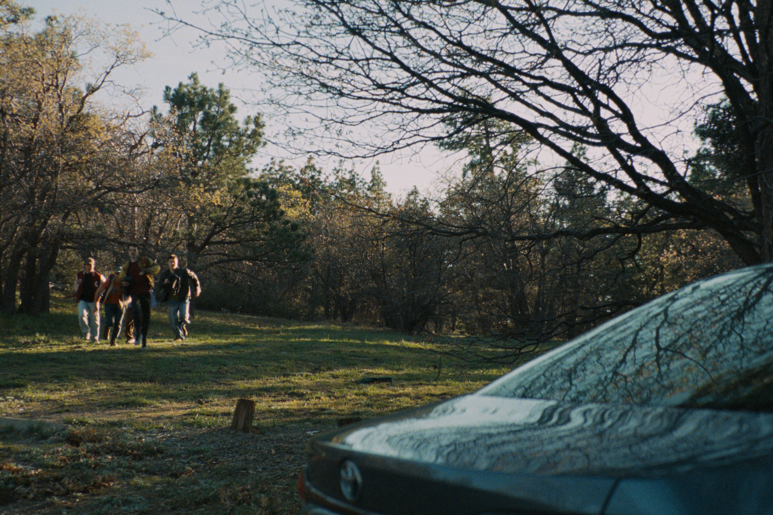 A group of four people walking on a grassy area surrounded by trees with bare branches, seen from the front and slightly to the left, with part of a silver car in the foreground on the right side.