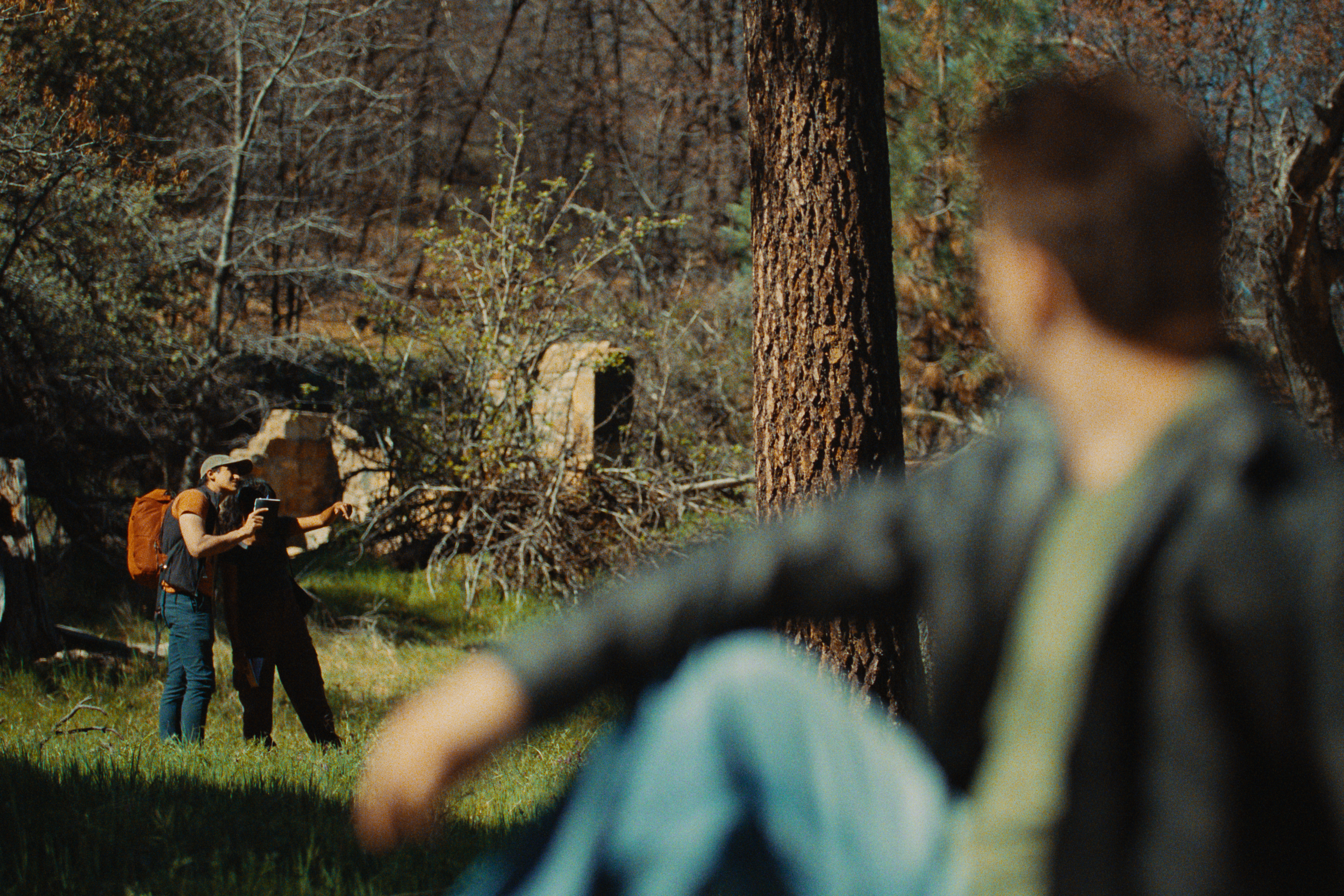 People hiking in a wooded area with trees and grass, seen through the branches and a large tree trunk in the foreground.