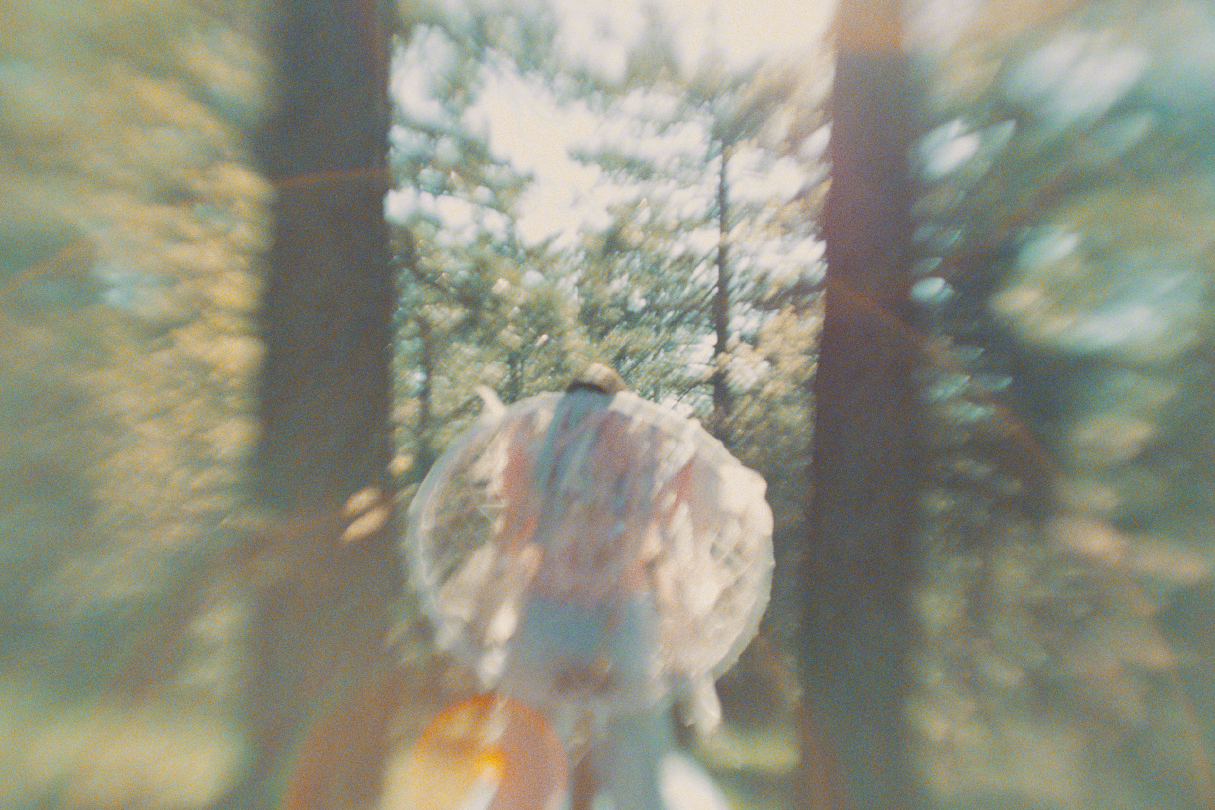 Blurred photo of trees with sunlight filtering through, taken from below, with a person holding an umbrella in the foreground.