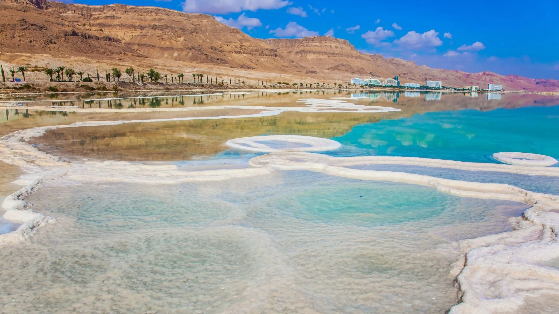 Holy Land Experience: Land + Roundtrip Air from LAX