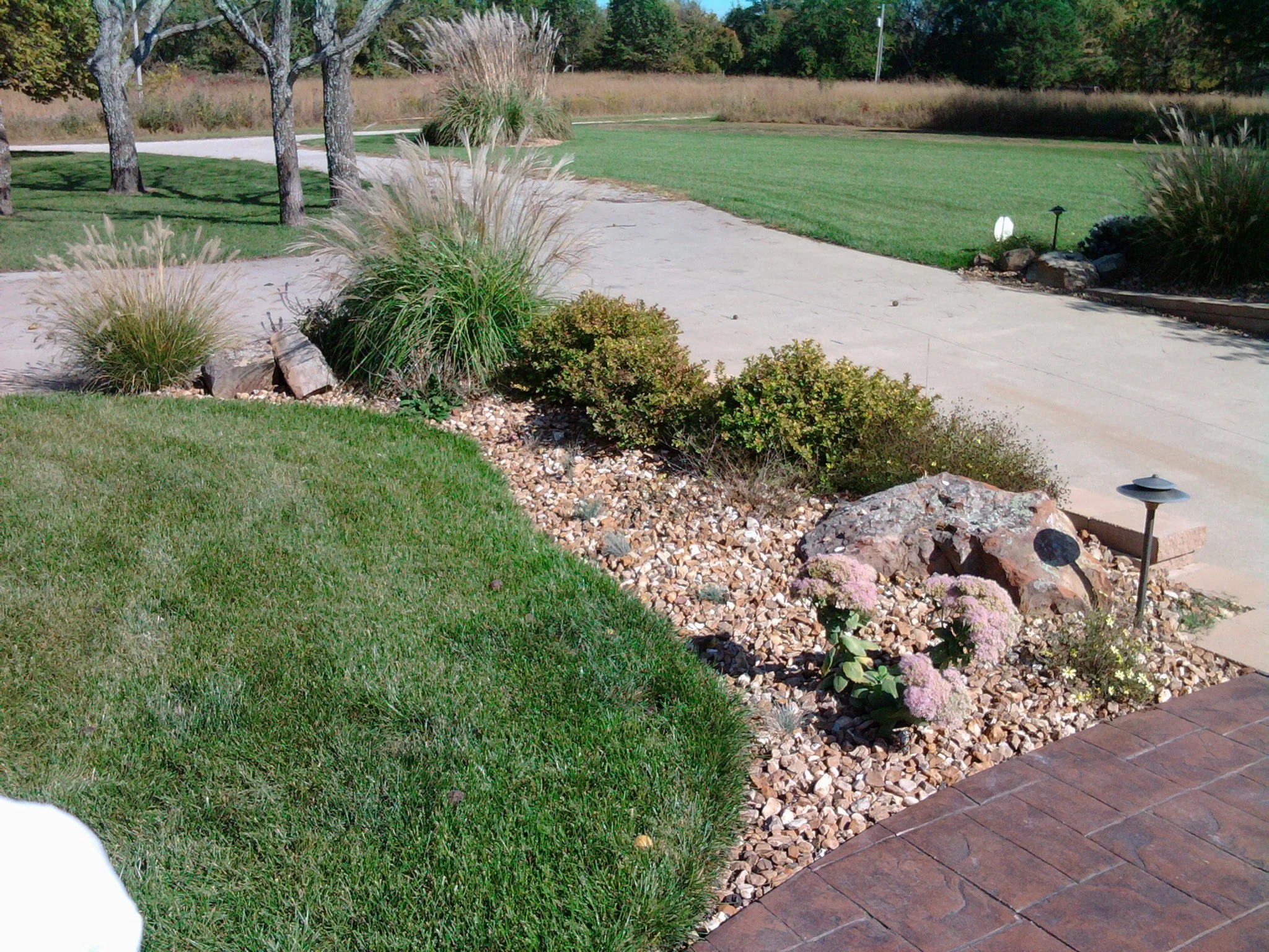 A landscaped yard with green grass, ornamental bushes, rocks, and a concrete pathway leading to a grassy open area, with trees in the background.