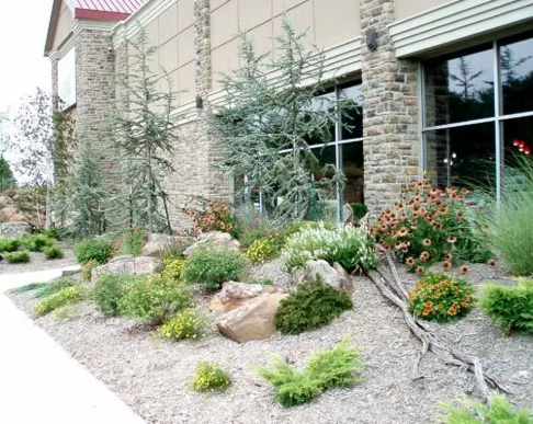 A landscaped garden next to a building with brick and stone exterior, featuring various plants, shrubs, small trees, and rocks.