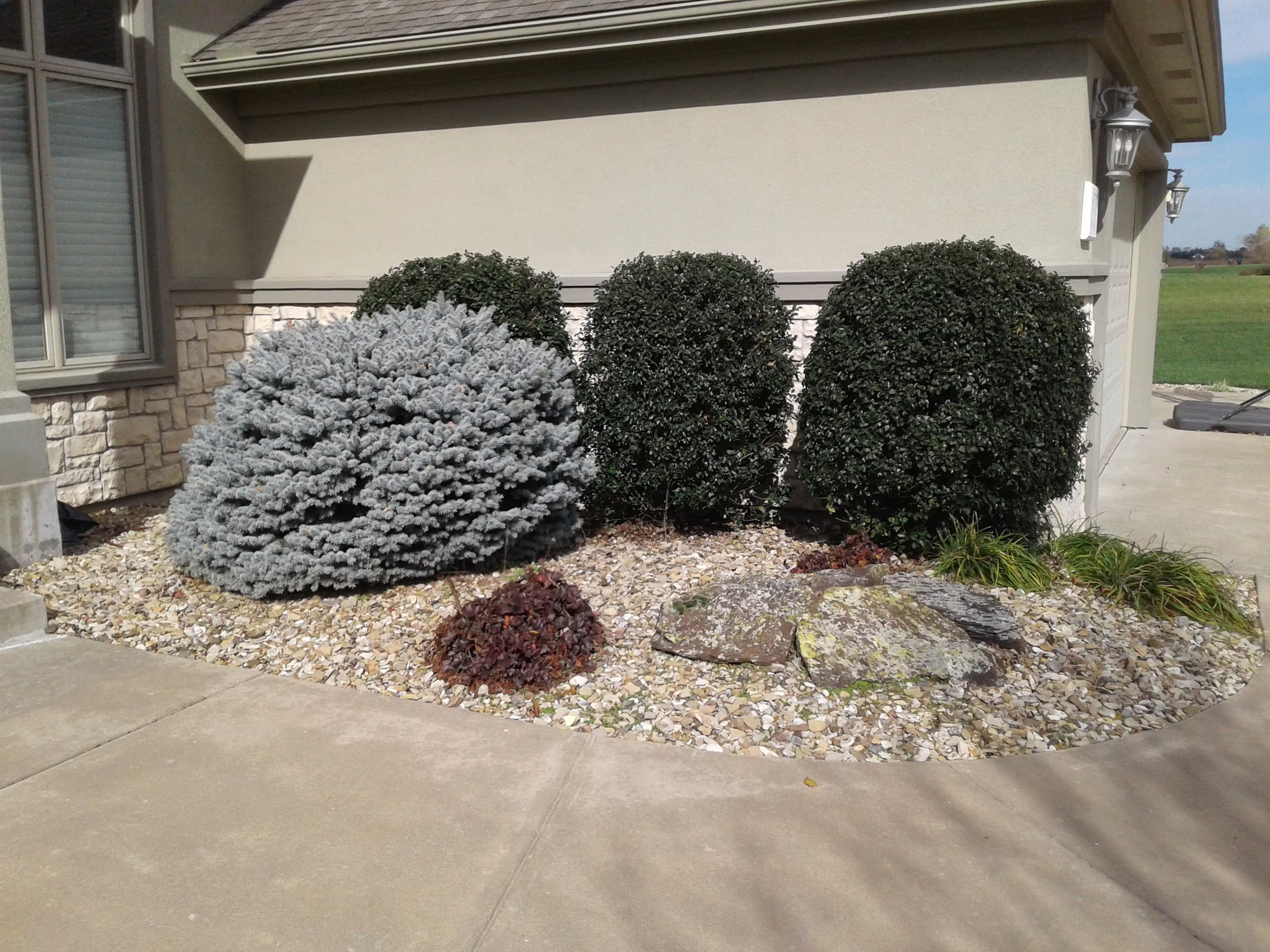 Decorative front yard landscaping with three trimmed bushes, a blue-gray conifer, small rocks, and decorative stones near a house with stucco and stone siding.
