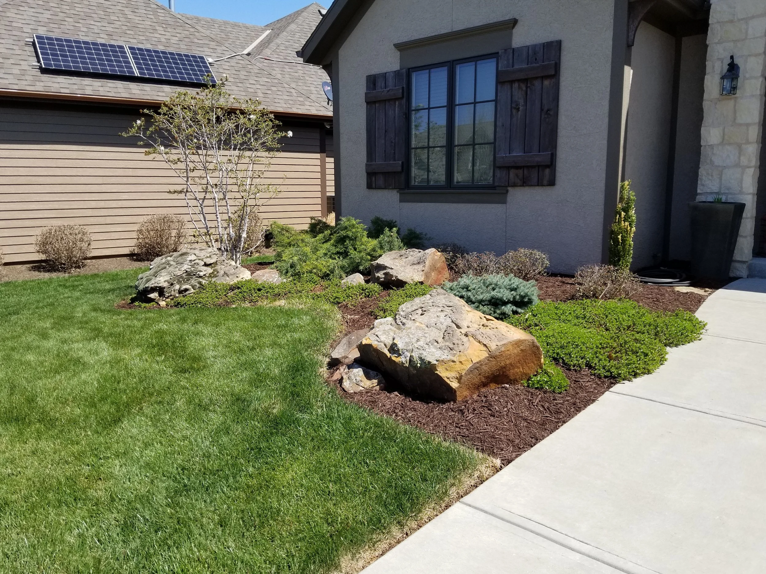 A well-maintained front yard garden with rocks, small bushes, and a tree in front of a house with a window and shutters, next to a sidewalk.