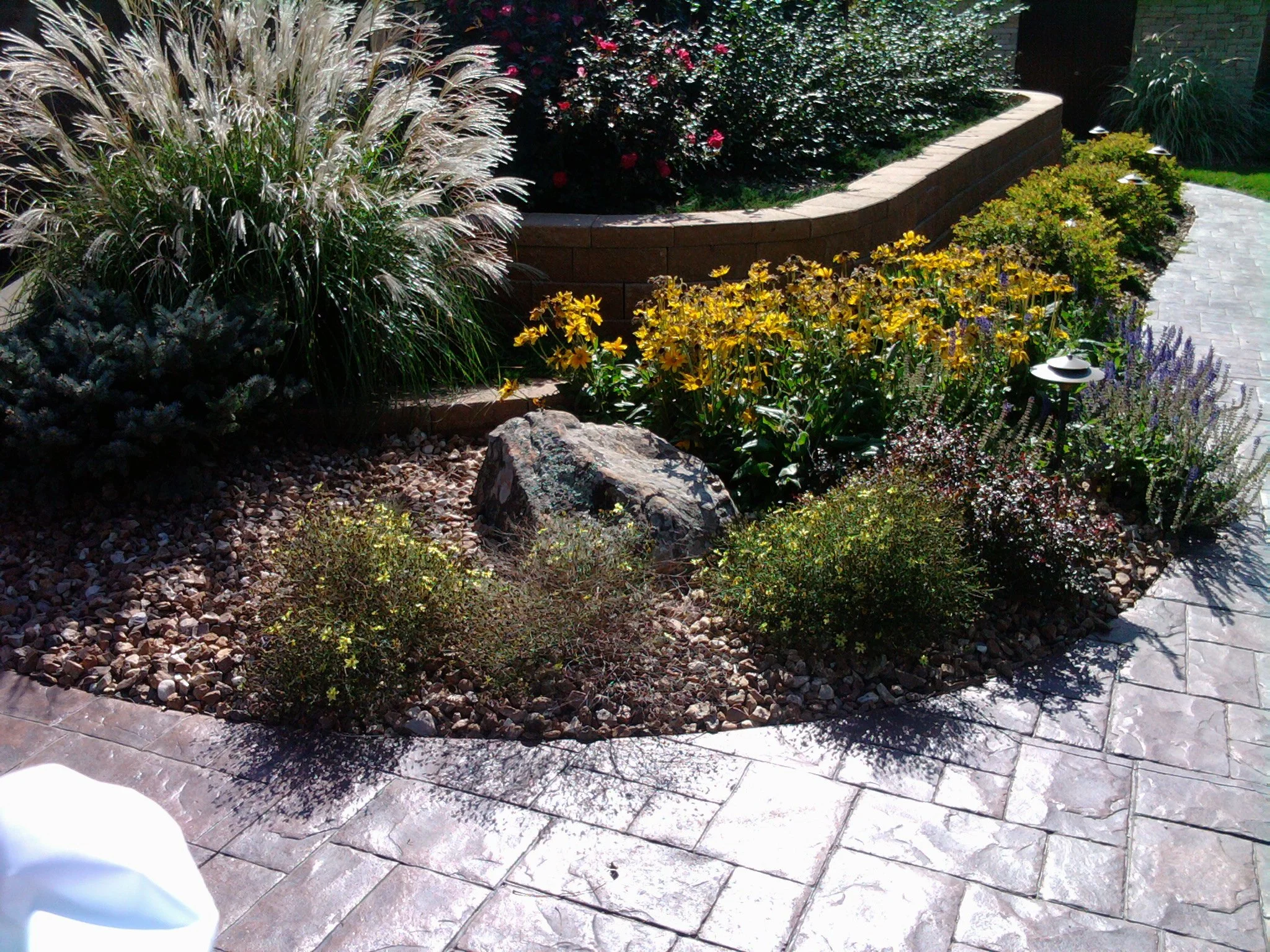 A landscaped garden with a stone pathway, yellow flowers, purple flowers, a large rock, bushes, and a brick retaining wall with flowering bushes behind it.