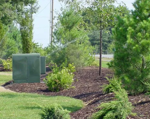 Green electrical box on a landscaped lawn with trees and shrubs.