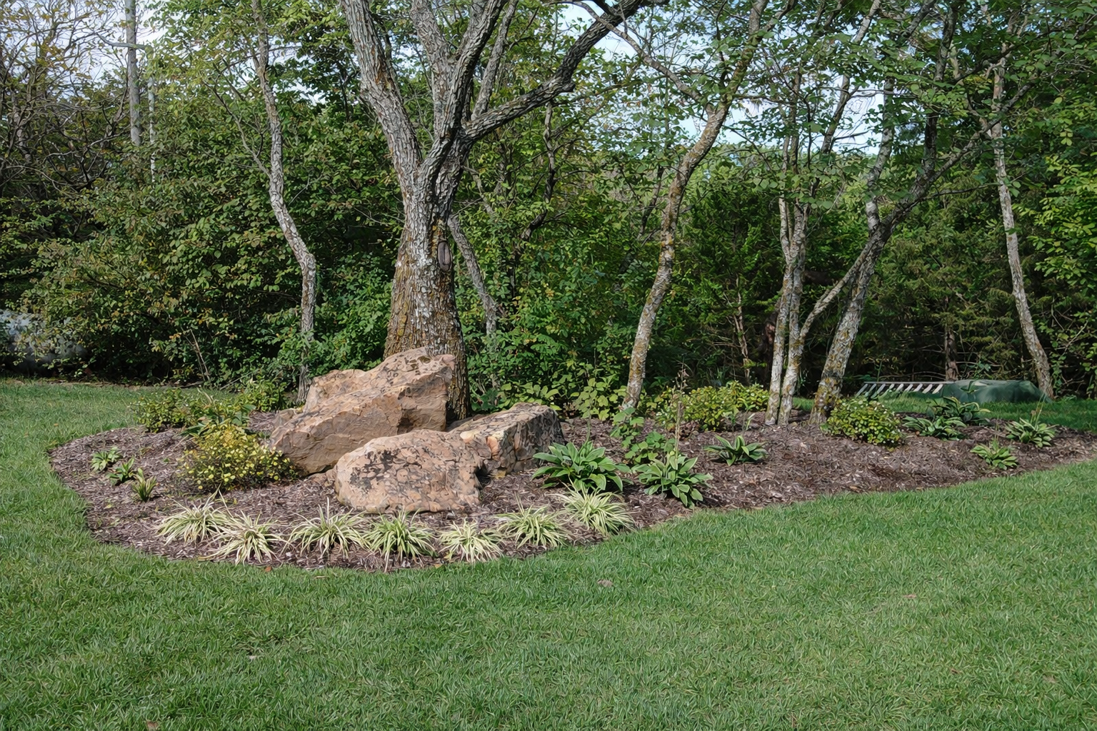 A landscaped garden with large rocks, small green plants, and trees in the background, surrounded by a well-maintained lawn.