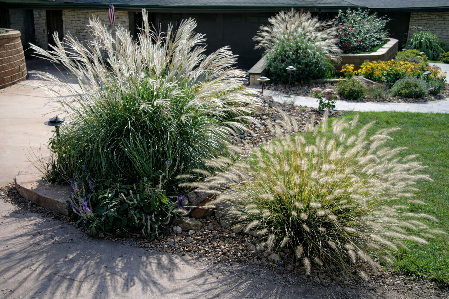 A landscaped garden with ornamental grass, flowering plants, and decorative rocks, bordered by a concrete sidewalk and a stone wall, with houses and an American flag in the background.