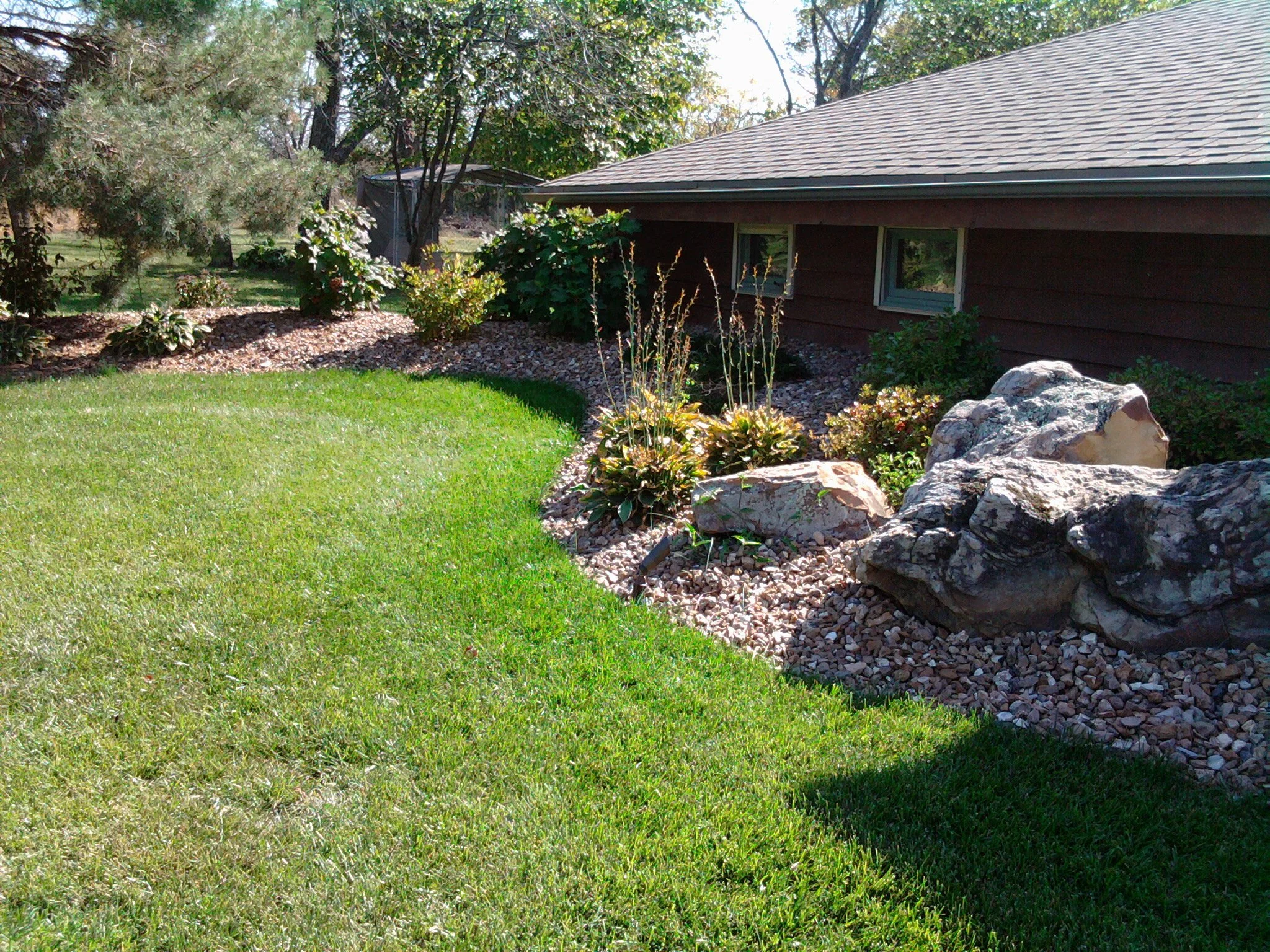 A well-maintained yard featuring a lush green lawn, bordered by landscaped rocks and plants, with a house in the background and trees providing shade.