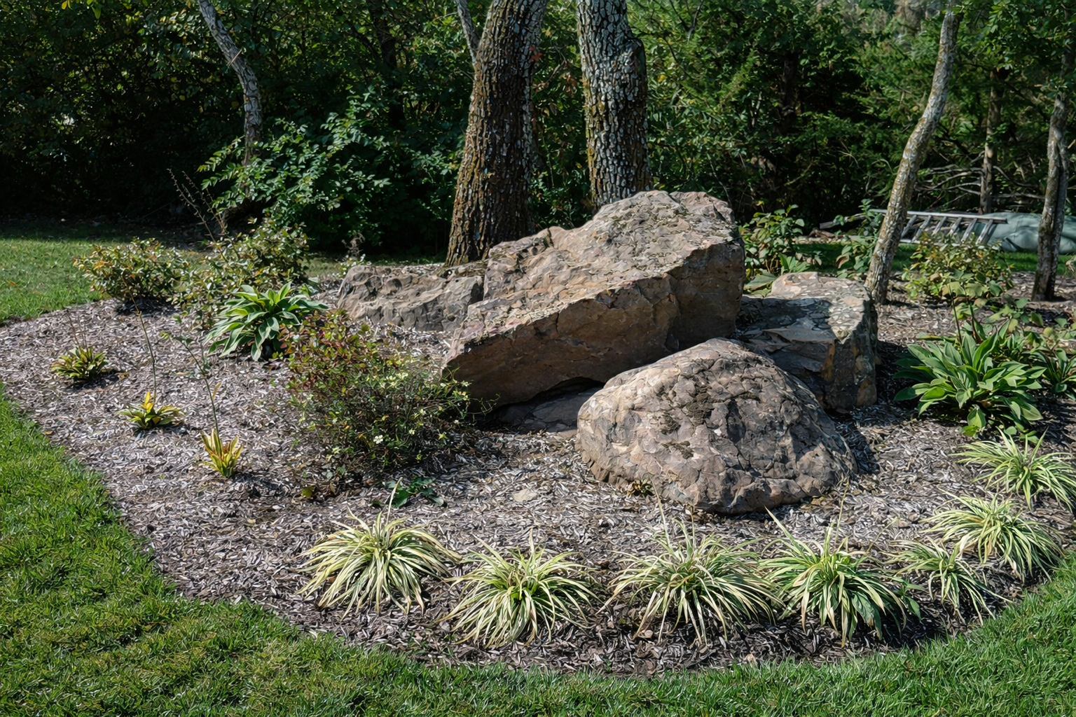 A landscaped garden bed with large rocks, small green plants, and mulch, surrounded by grass and trees.