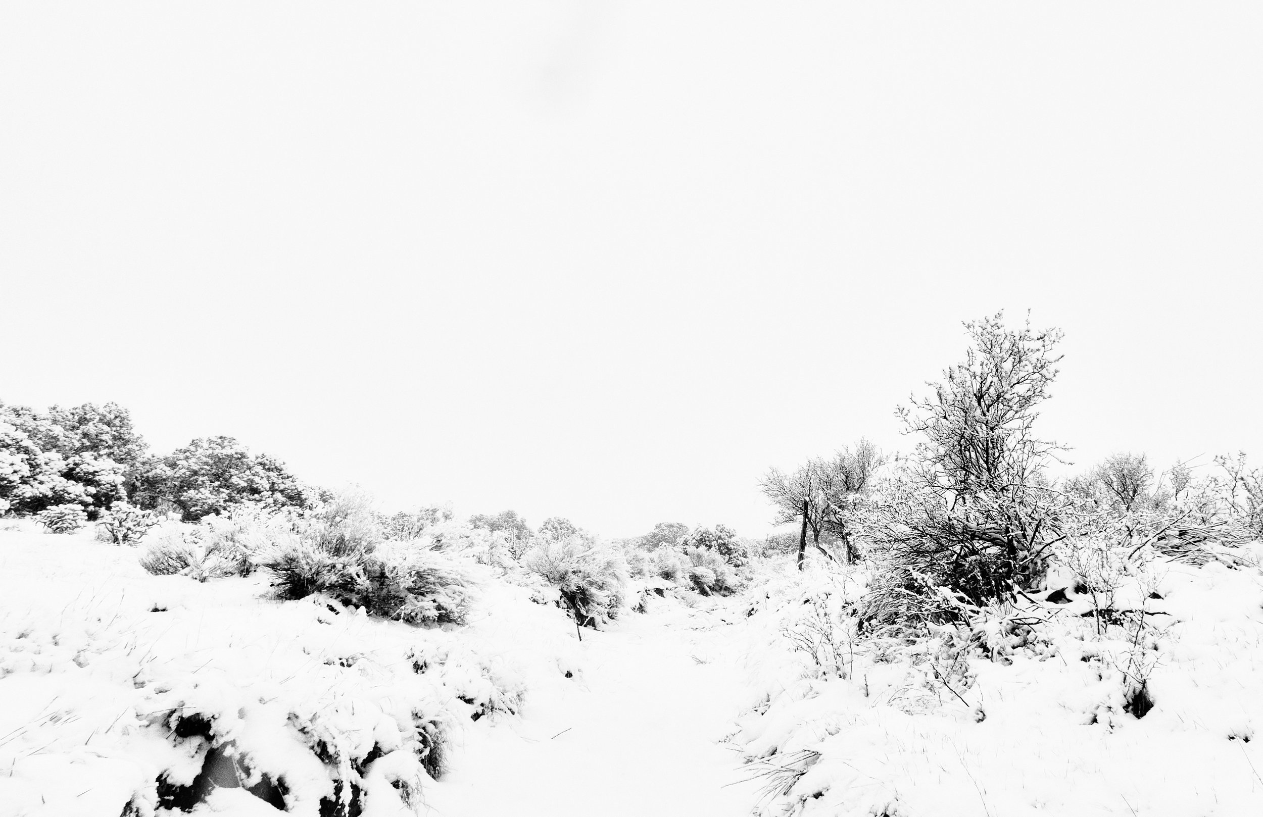 Eldorado Apr 19 2025 090 .jpg