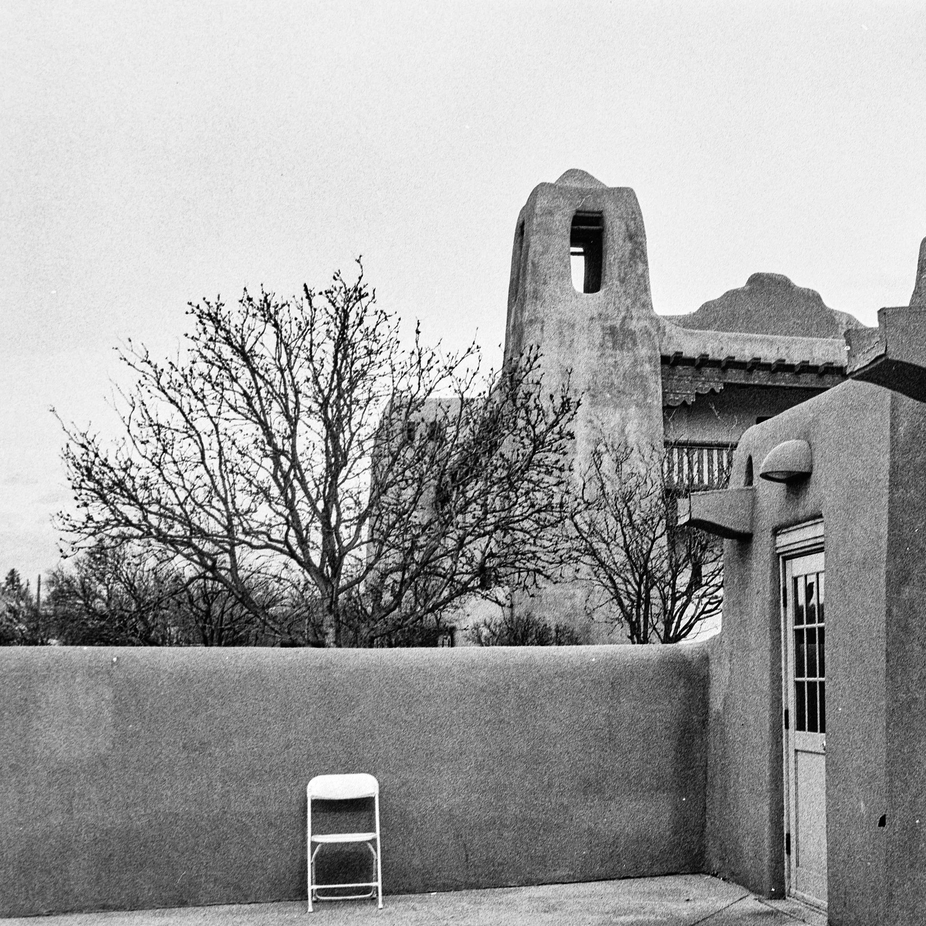 Winter 2026 Contax Jan 10 2026 041.jpg