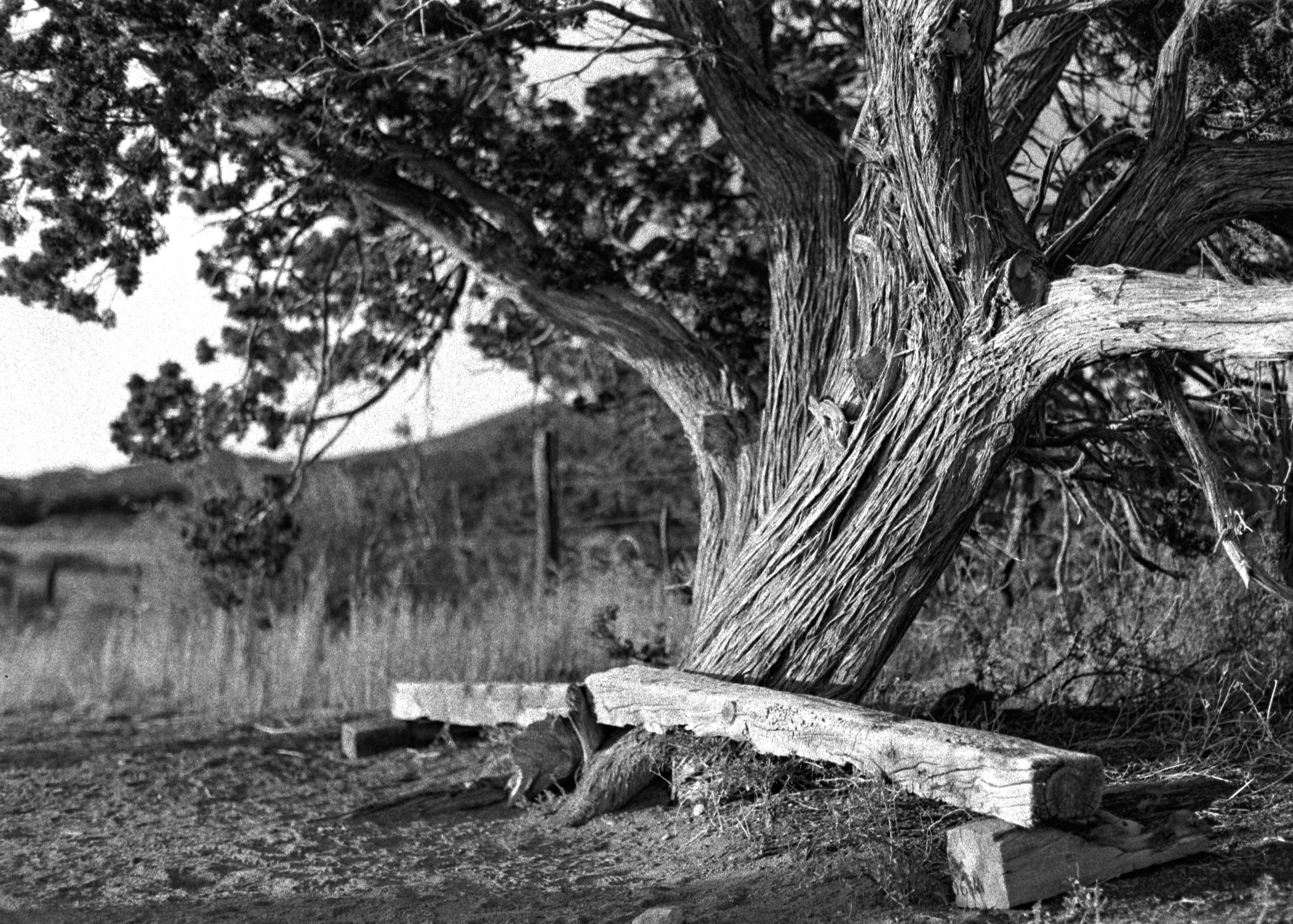 DSC08393a_1.jpg