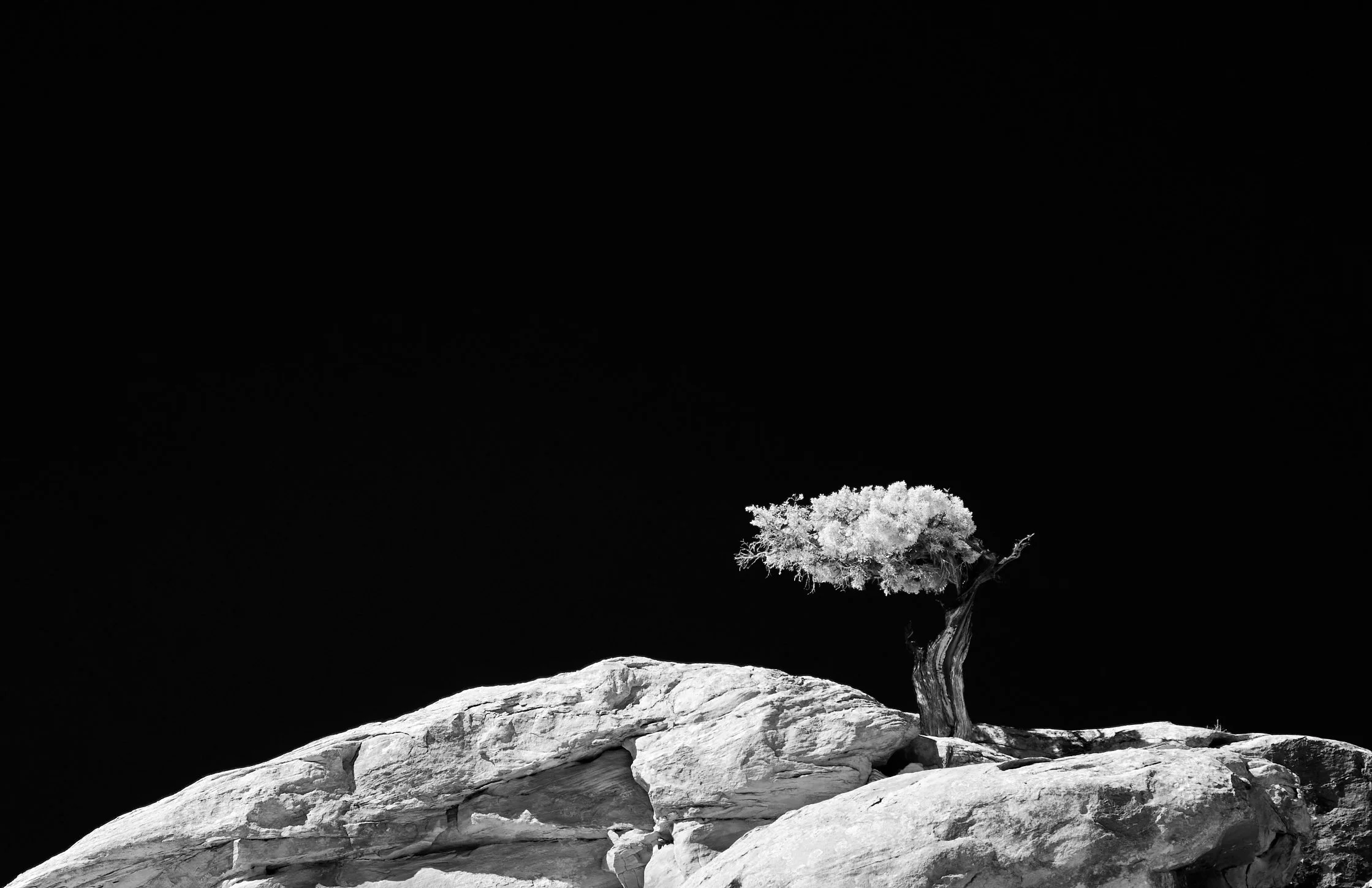  Spring 2023 Apr 20 2023 012 a.jpg