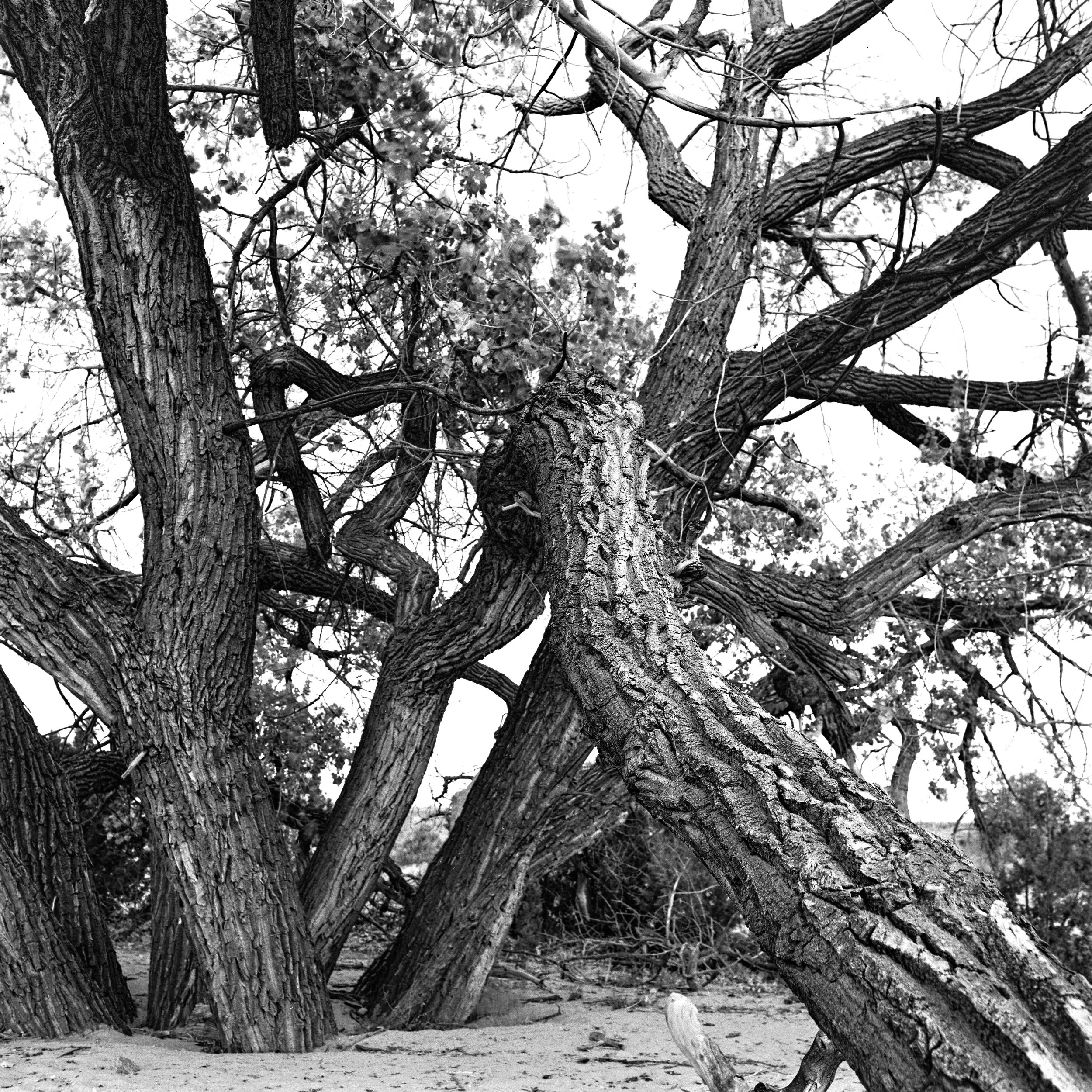  DSC08354a_1.jpg