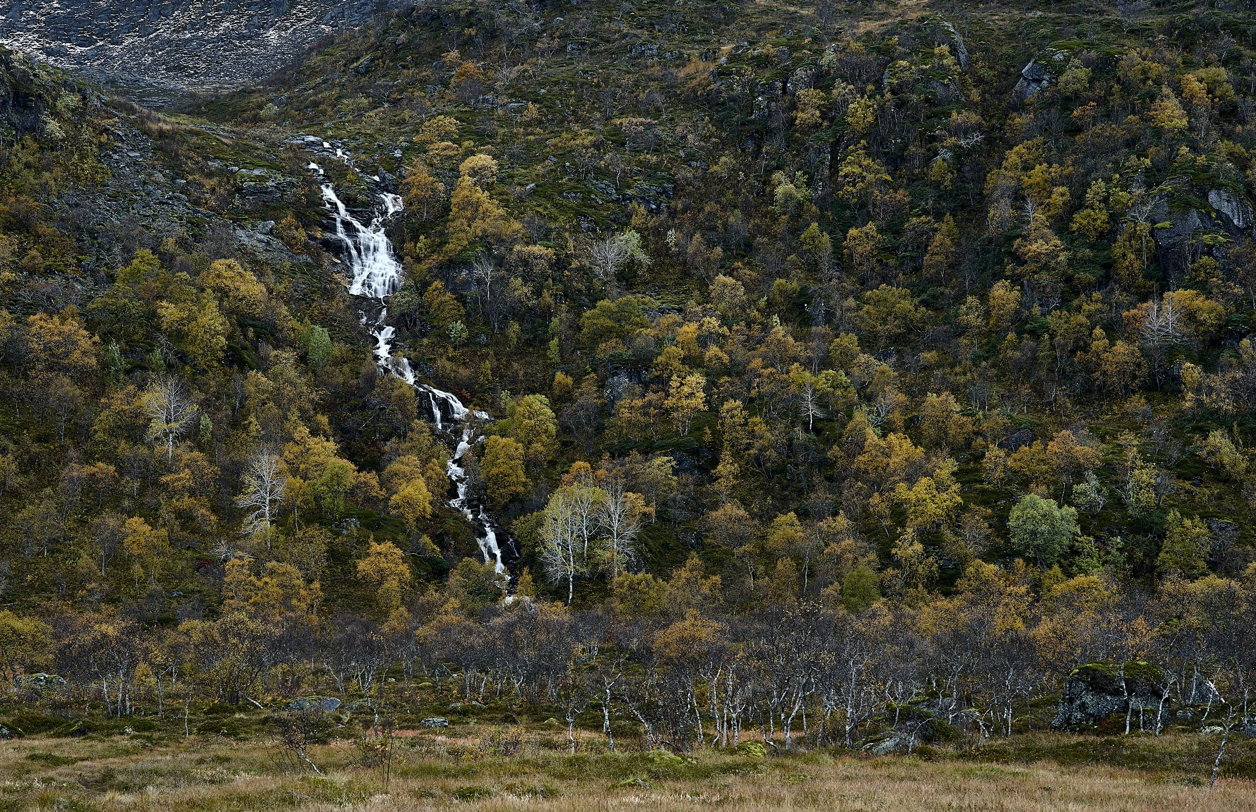 Norway 2023 Oct 11 2023 099.jpg