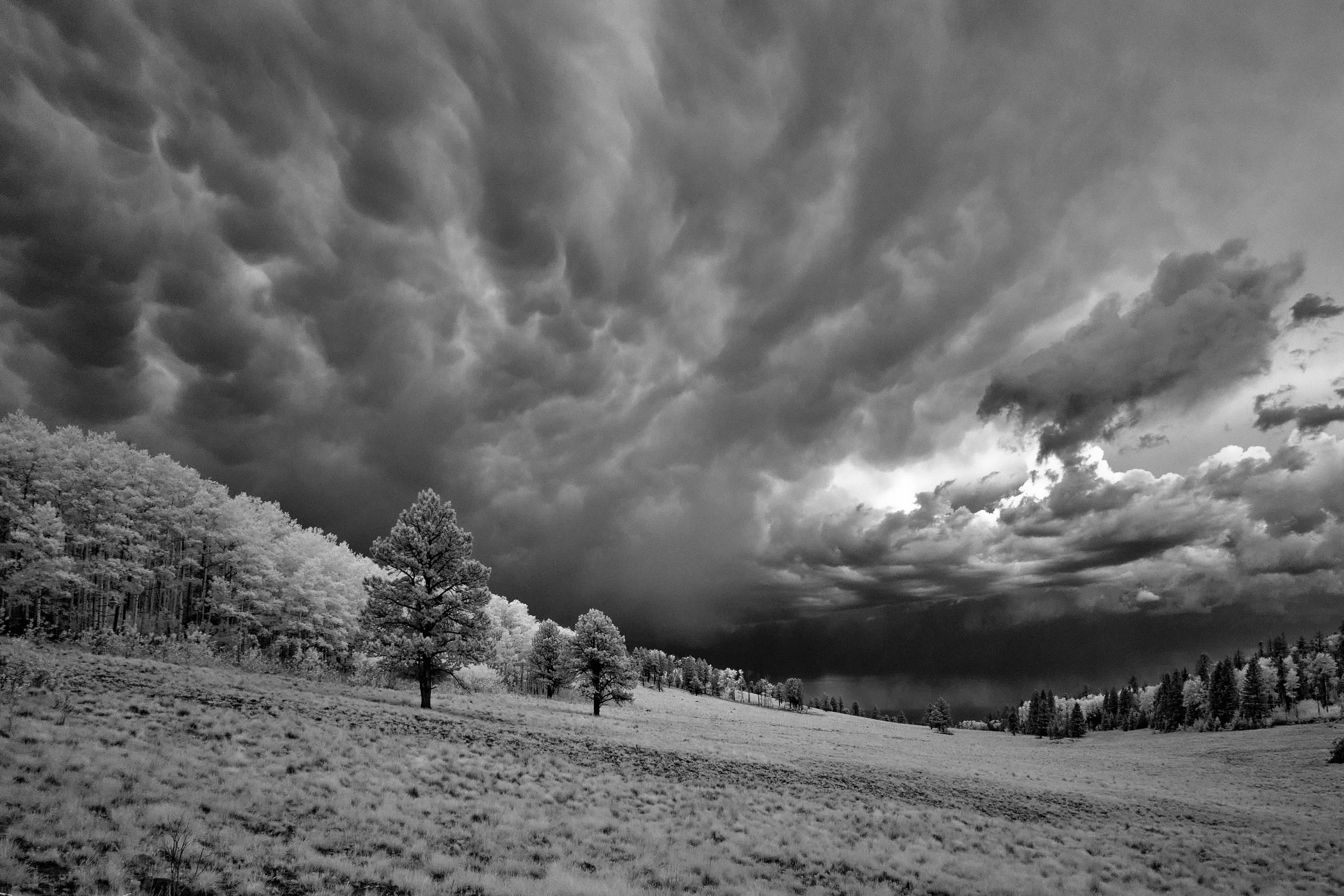  Summer 2021  Jun 15 2021_9 a.jpg