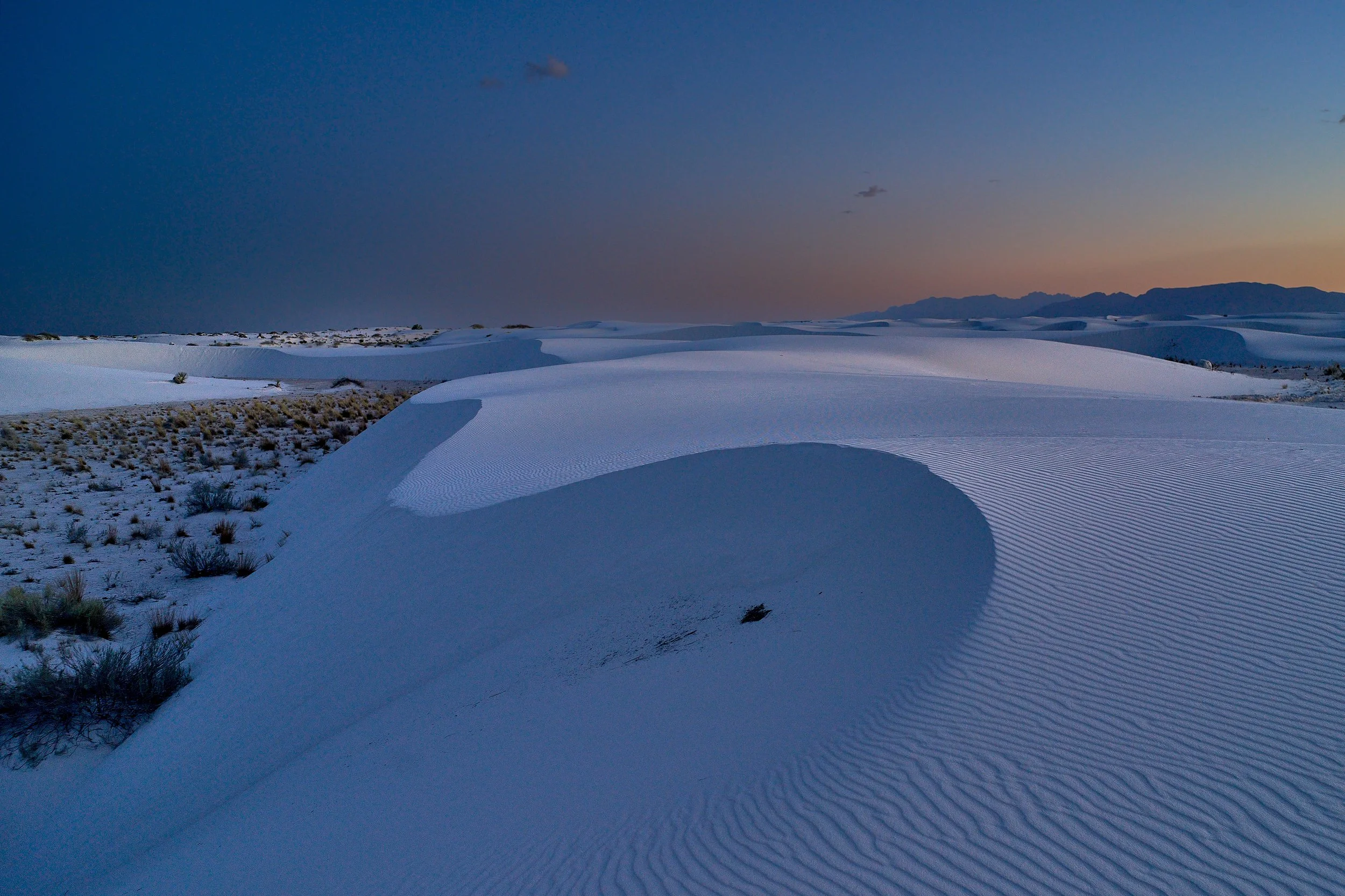 Spring 2024 Apr 27 2024 341 .jpg