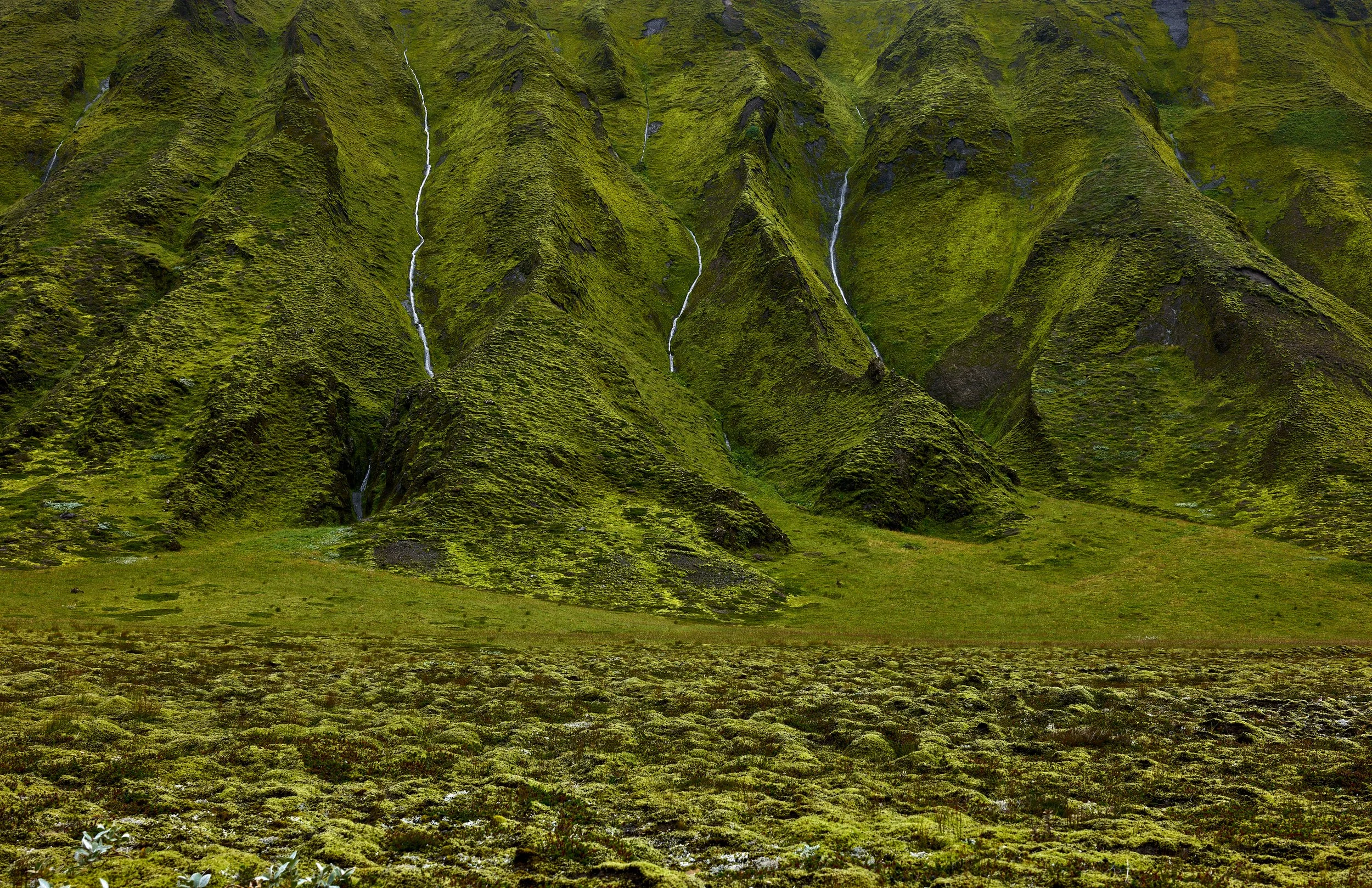 Thakgil Purple Trail-0035.jpg
