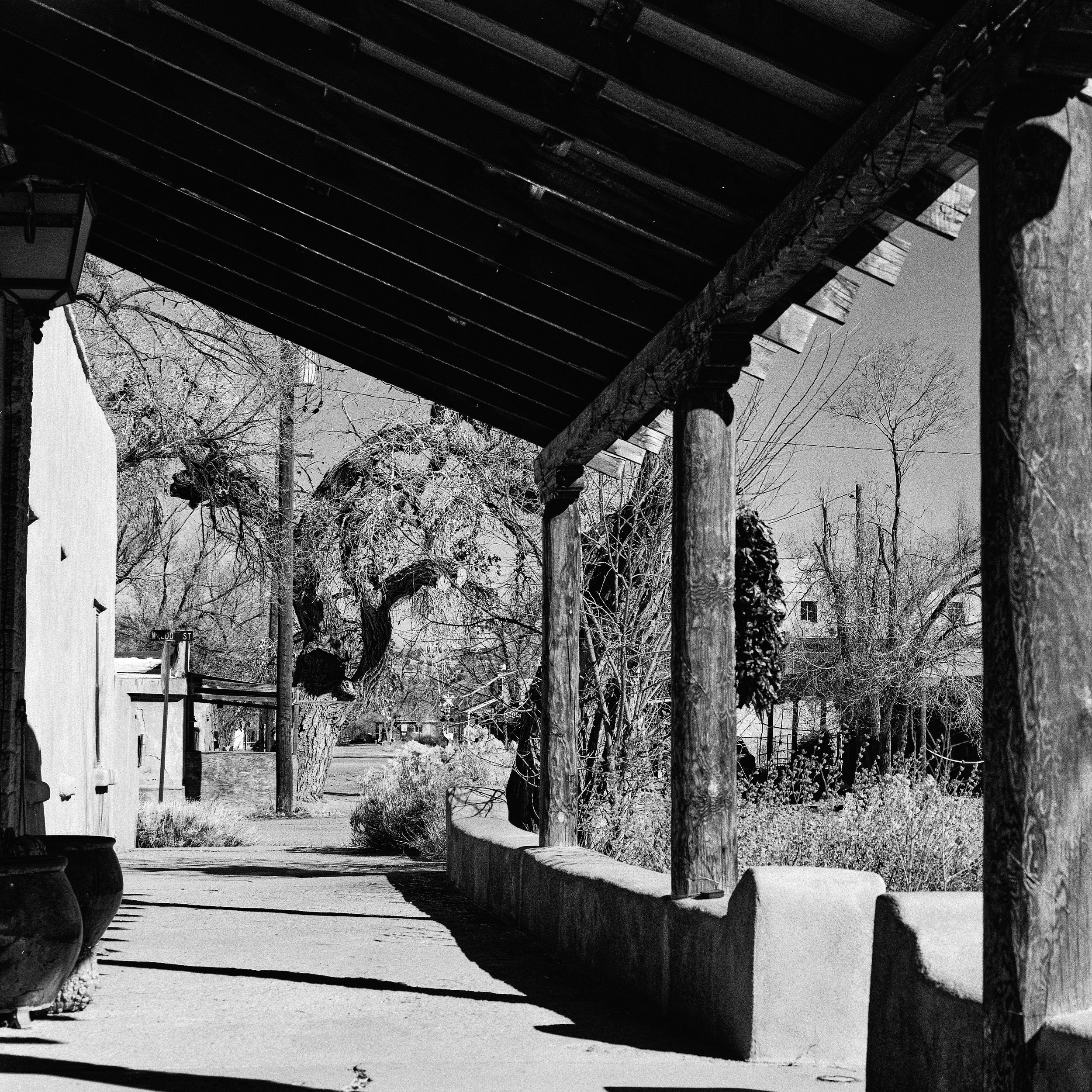 DSC07685 GGG.jpg