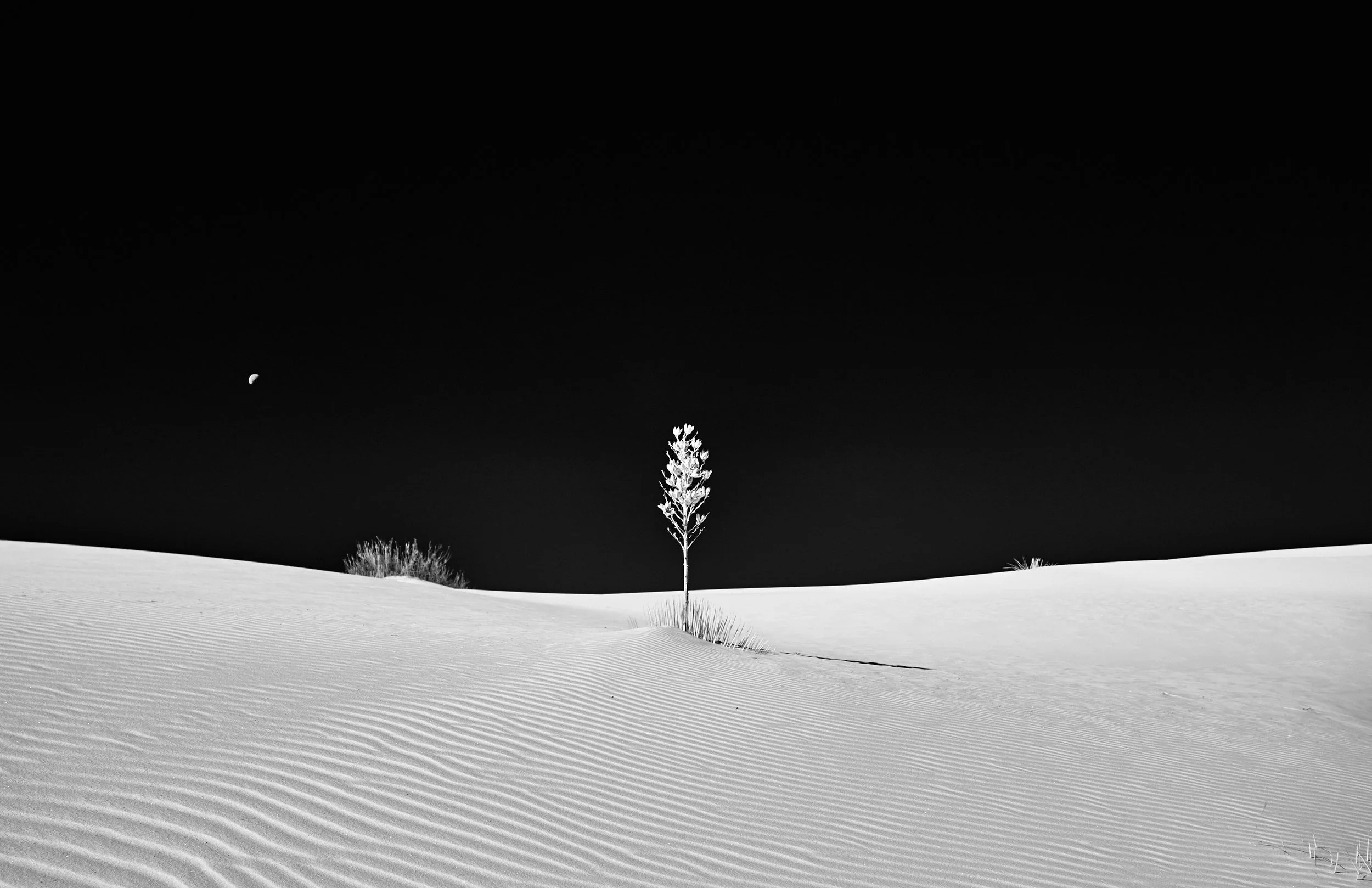  Winter 2023 Mar 14 2023 035 a.jpg