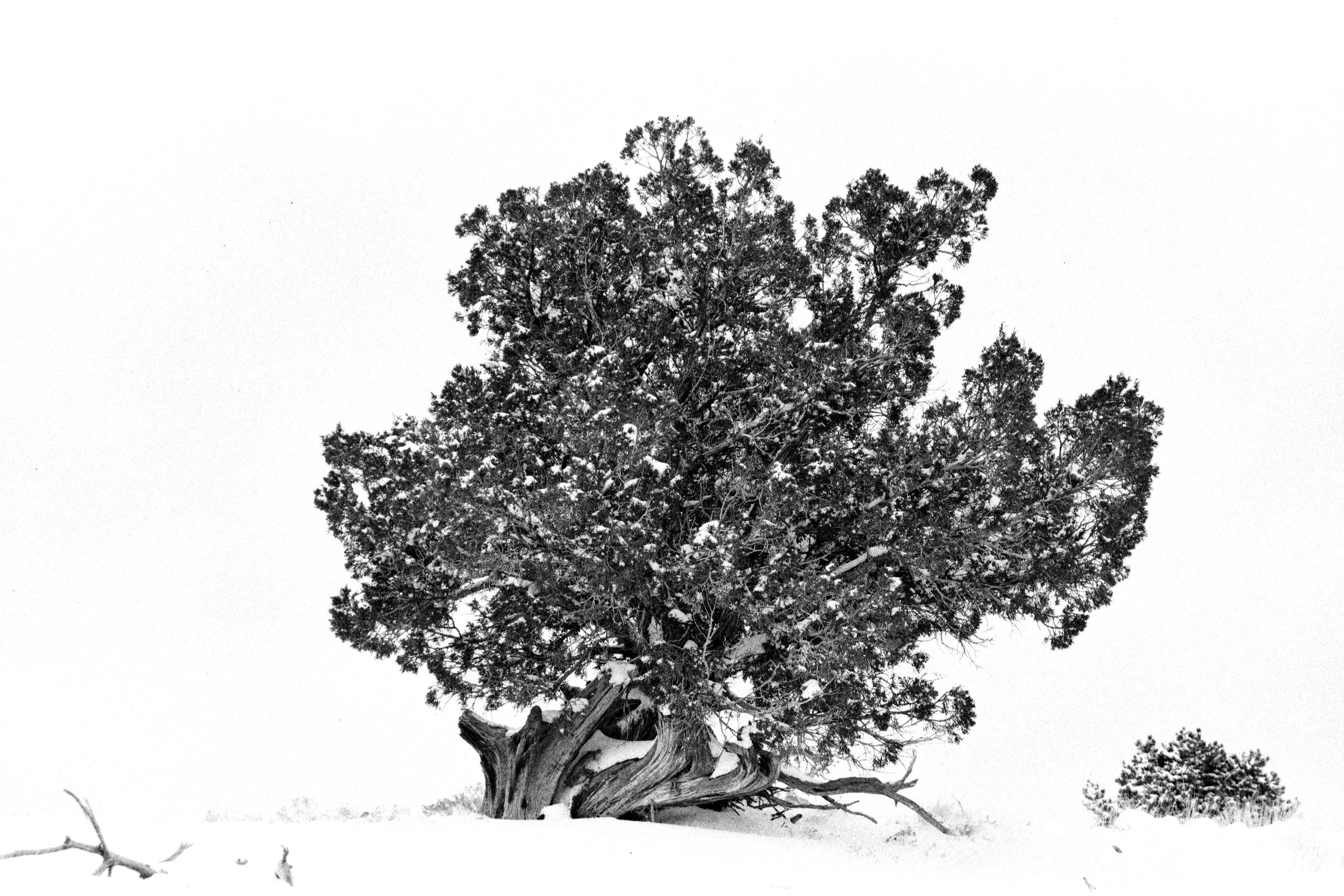 ffilmDSC07917.jpg