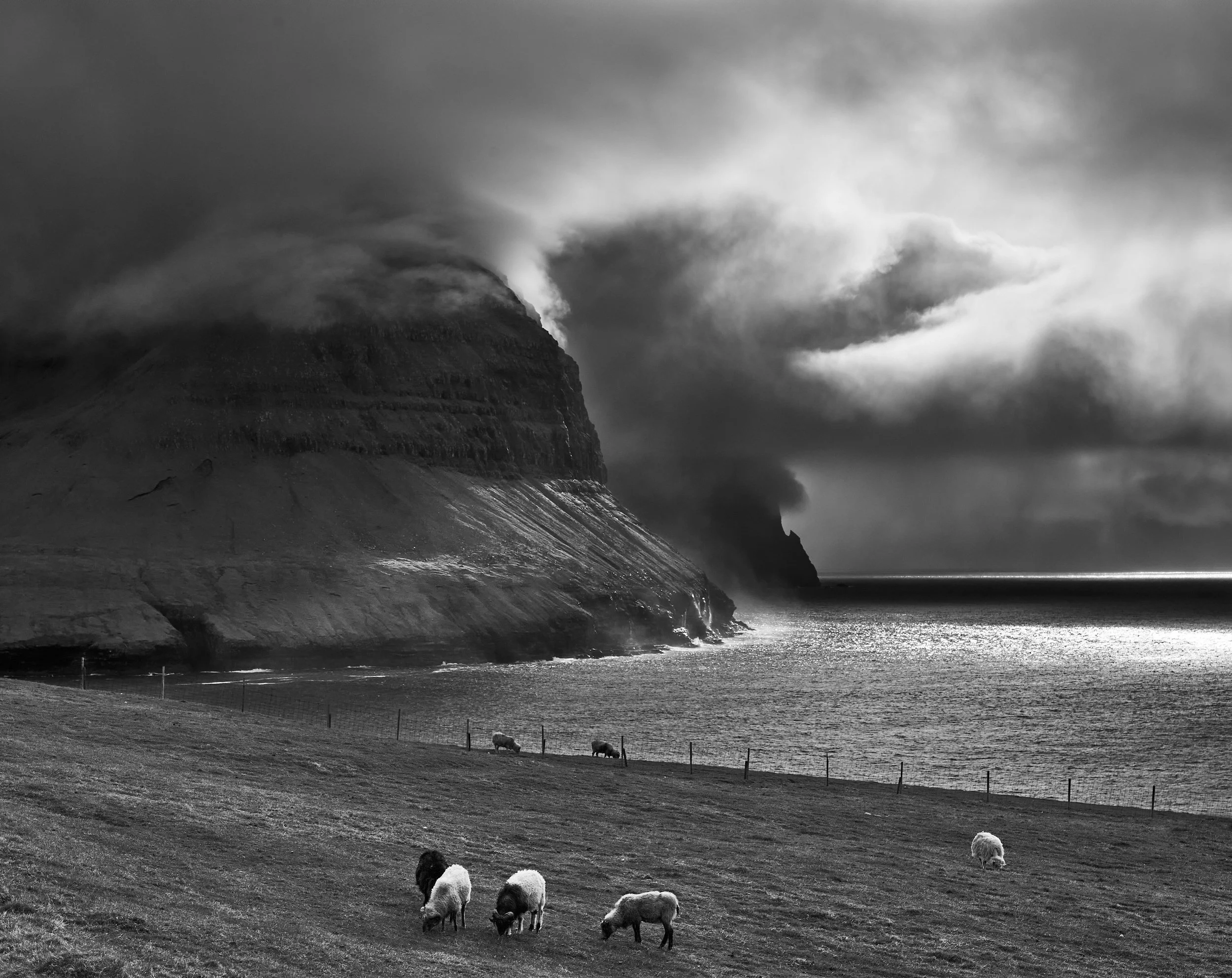 Faroe Islands 2019 Jun 08 2019 175 .jpg