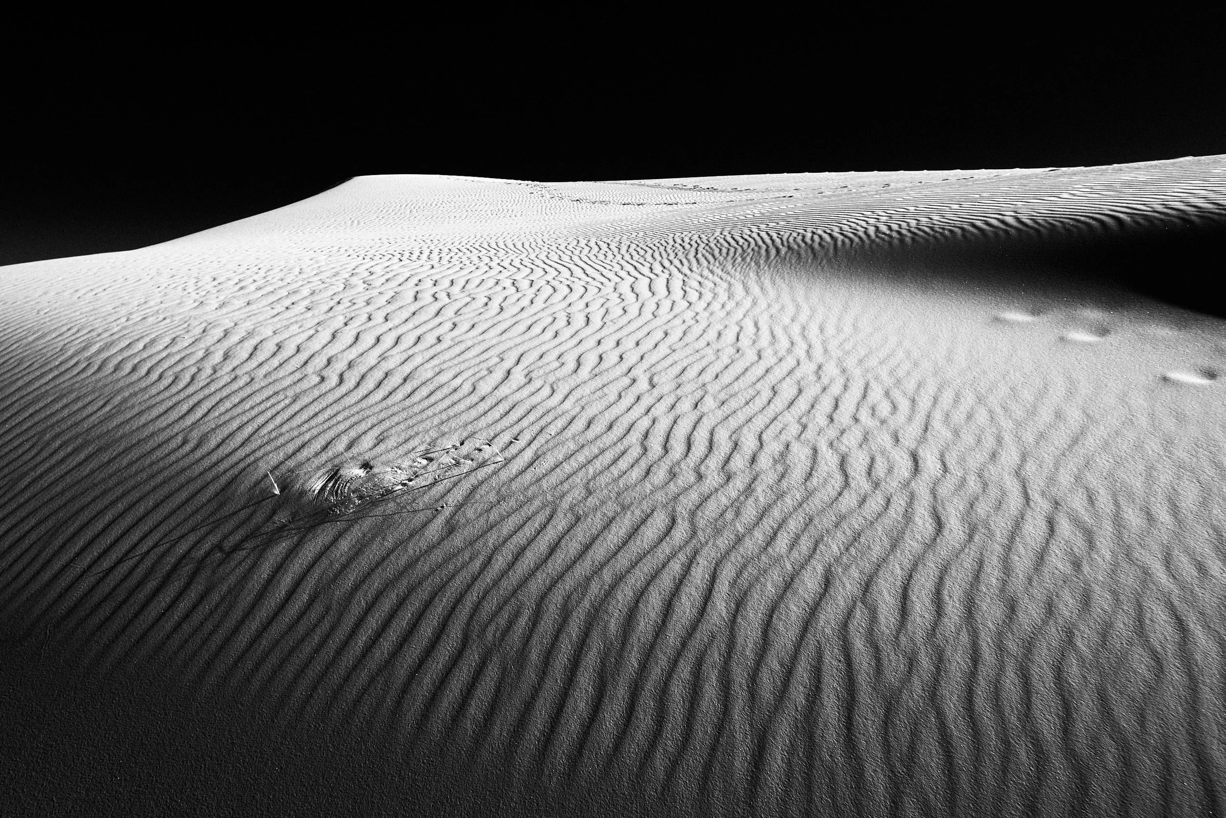  Winter 2023 Mar 13 2023 201 a.jpg