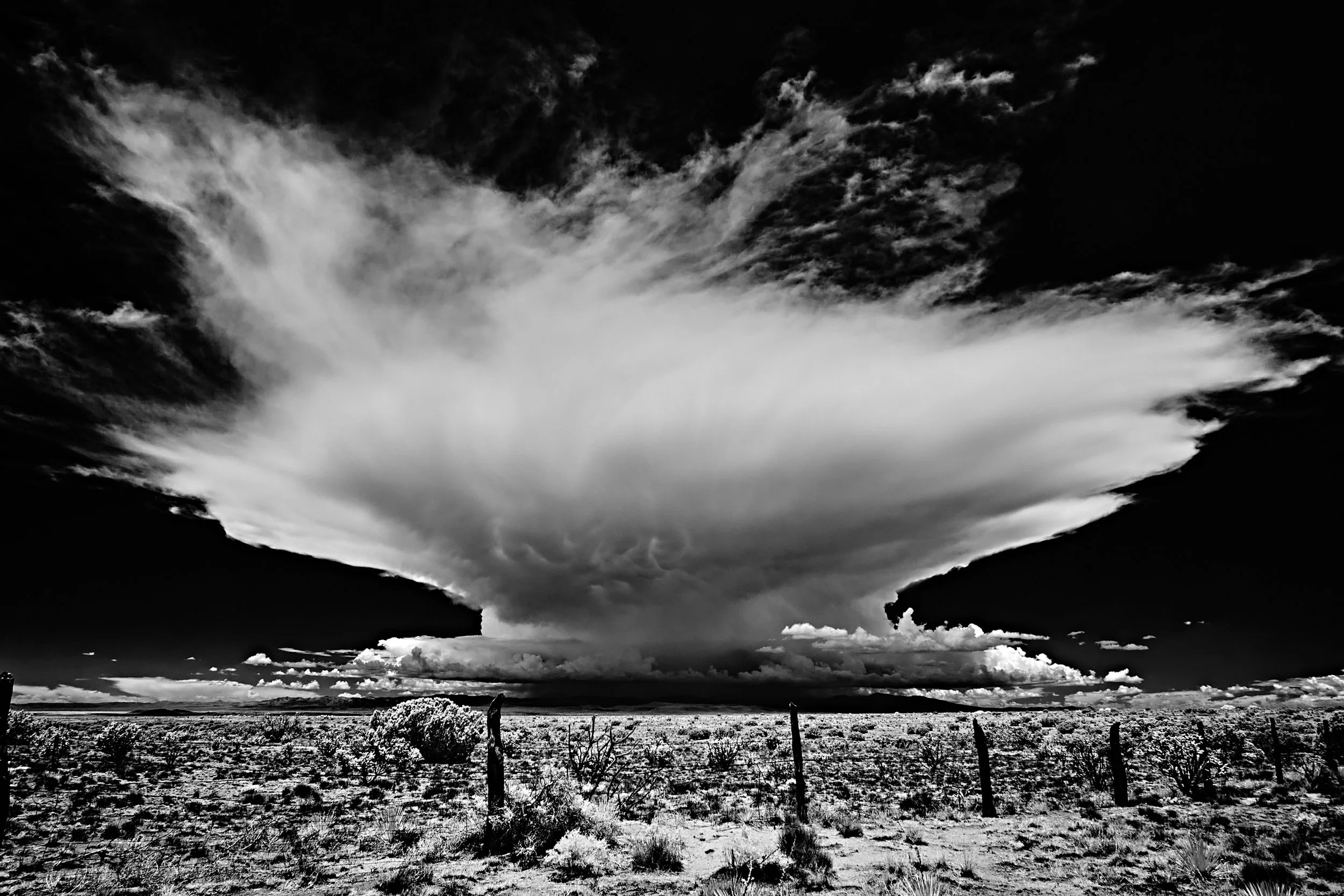  Summer 2022 Jun 29 2022 026 a.jpg