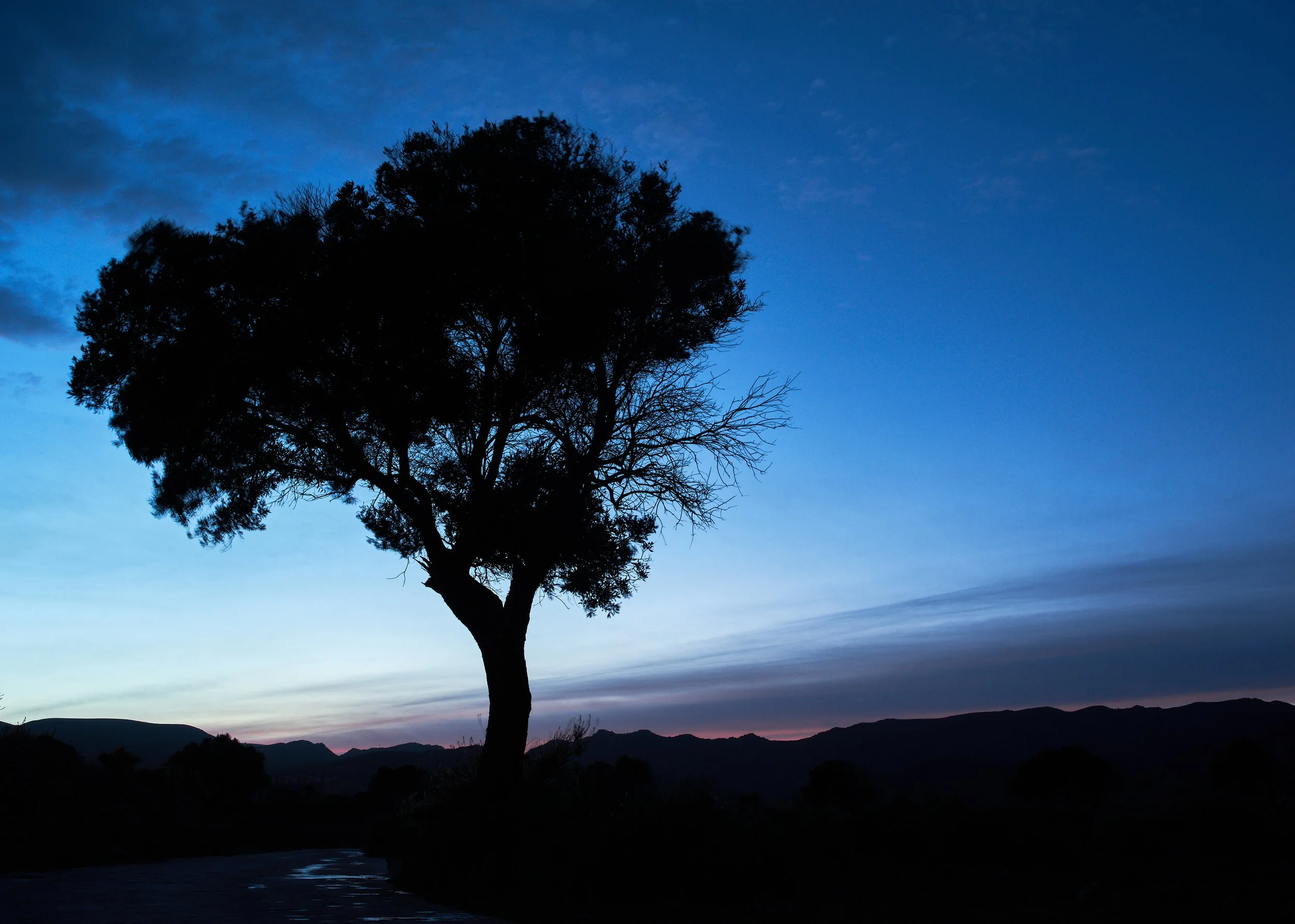 SpainDec 11 2017107 .jpg