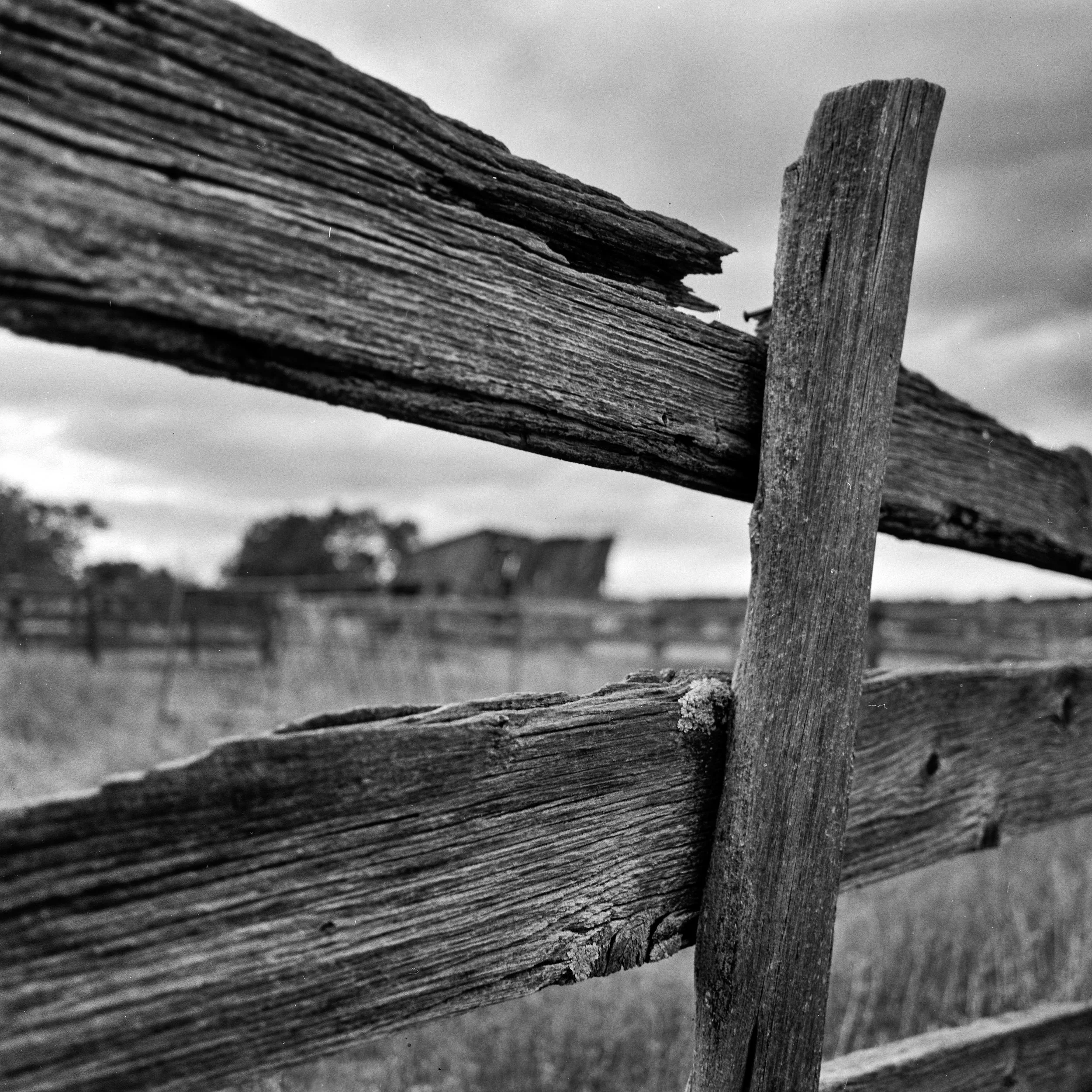 Old New Mexico