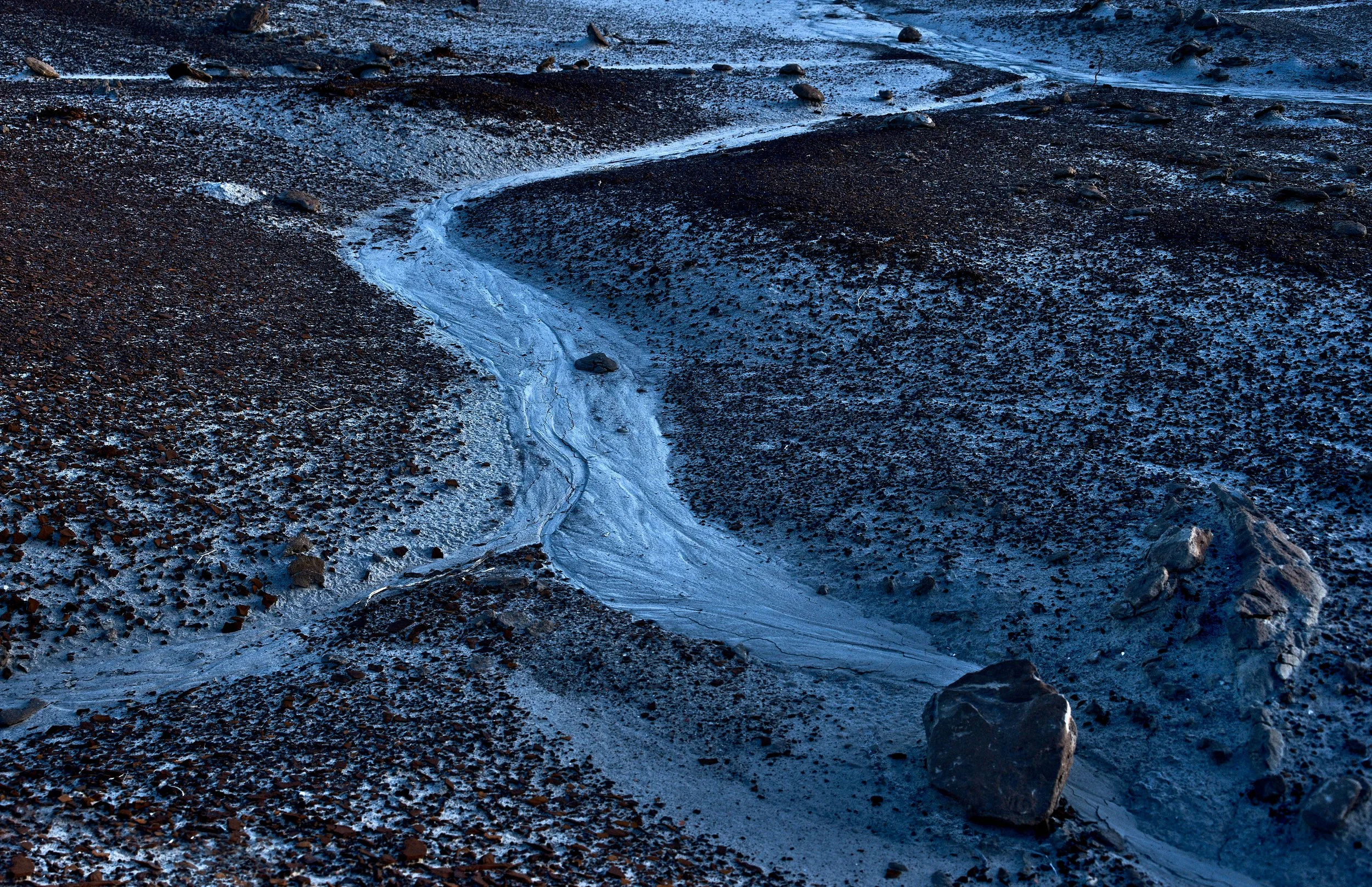  Winter 2023 Feb 03 2023 080f.jpg