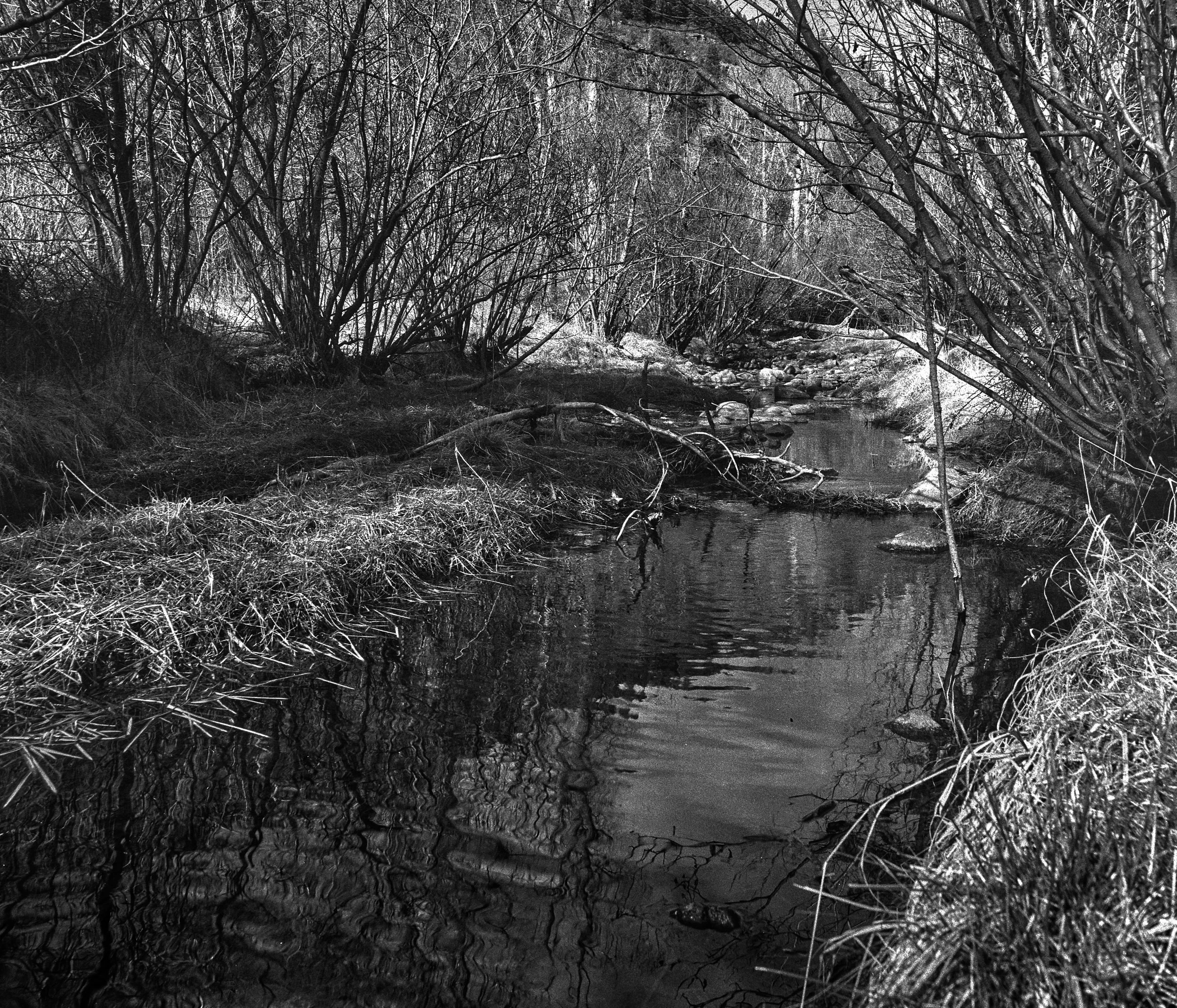 DSC07600a_2.jpg