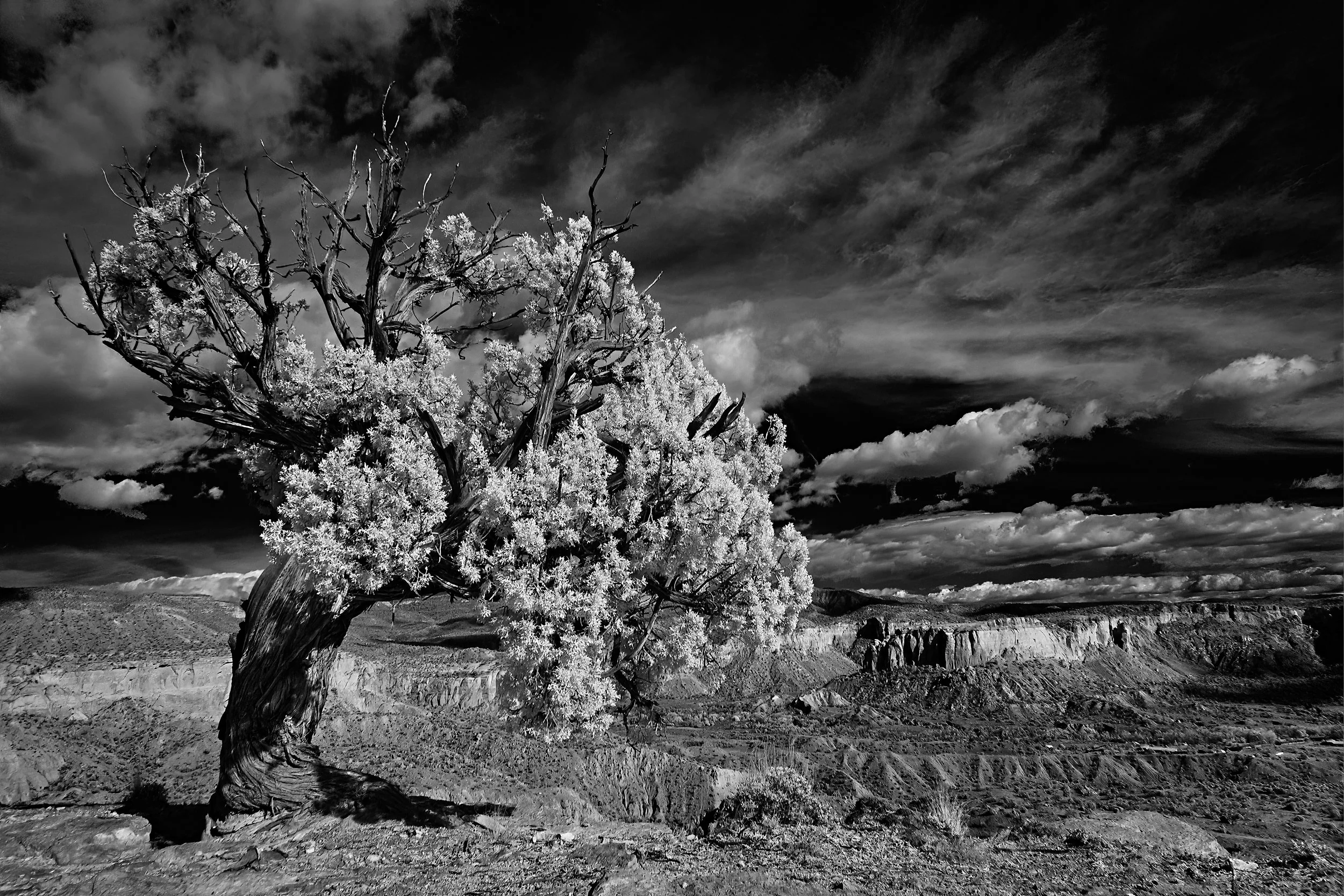 ffirNew Mexico Nov 01 2018042.jpg