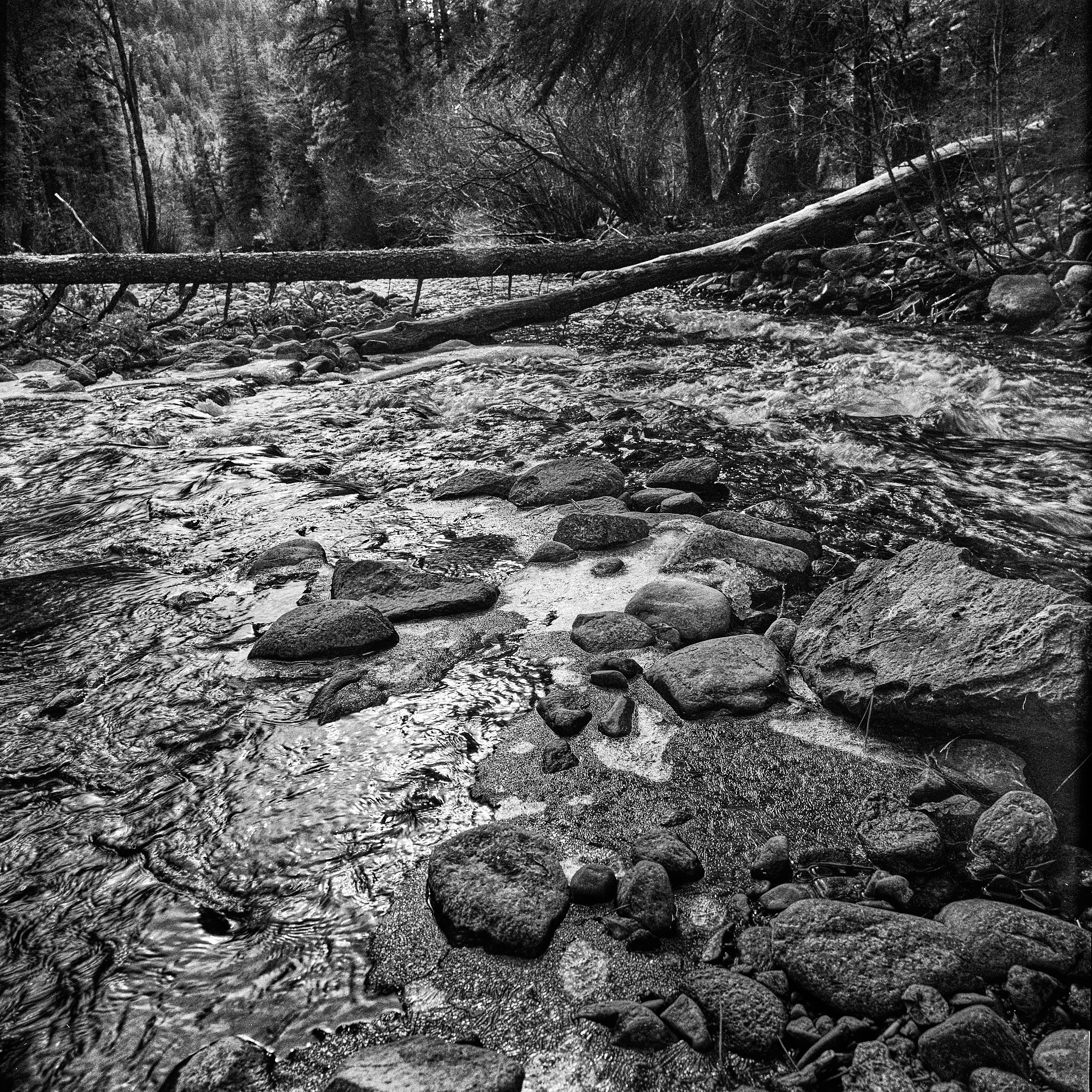 Sangre de Cristo Mountains