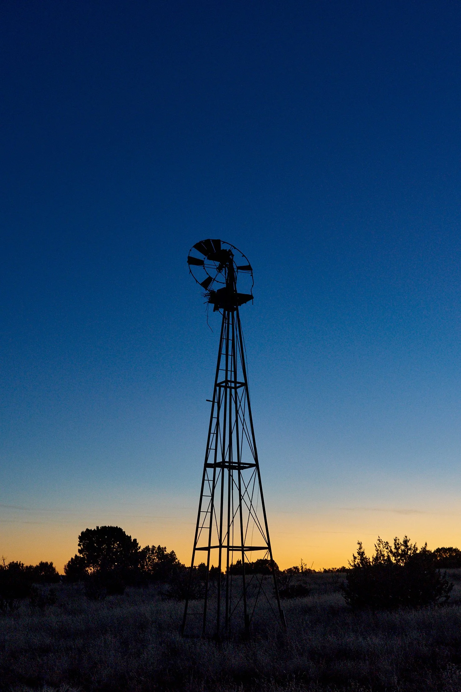 Autumn 2022 Nov 17 2022 053_1 .jpg