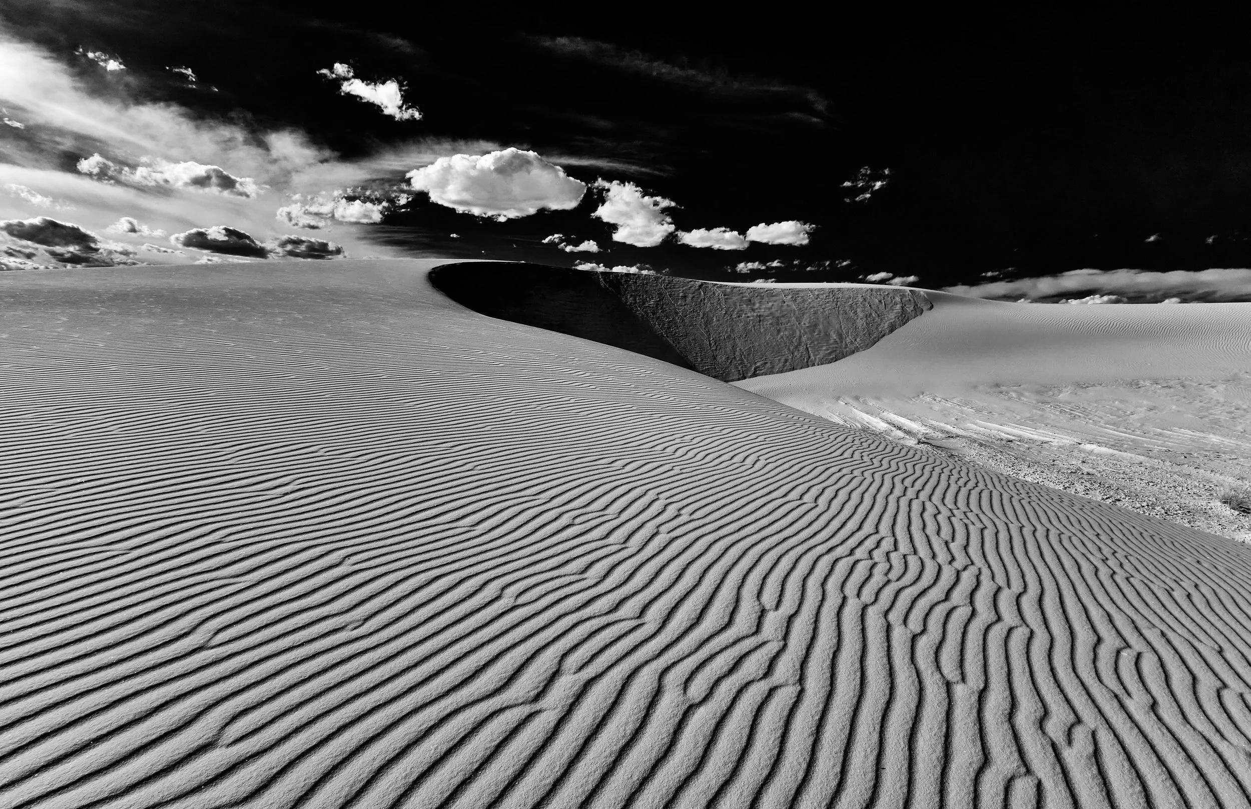  Winter 2023 Mar 13 2023 228 a.jpg