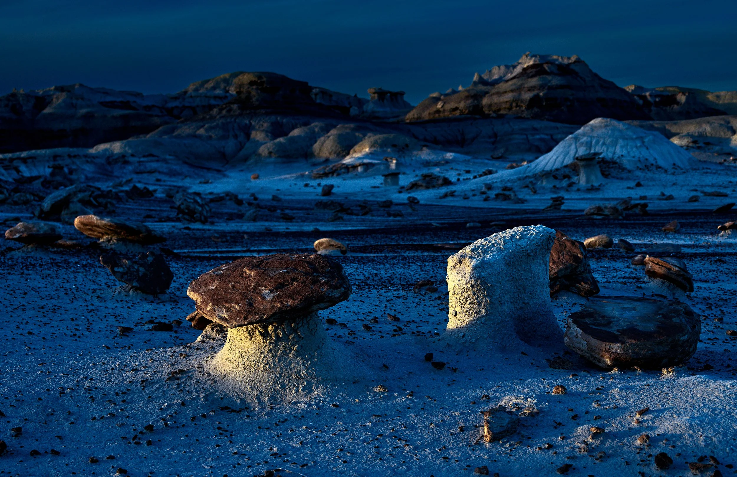  Winter 2023 Feb 03 2023 070f.jpg