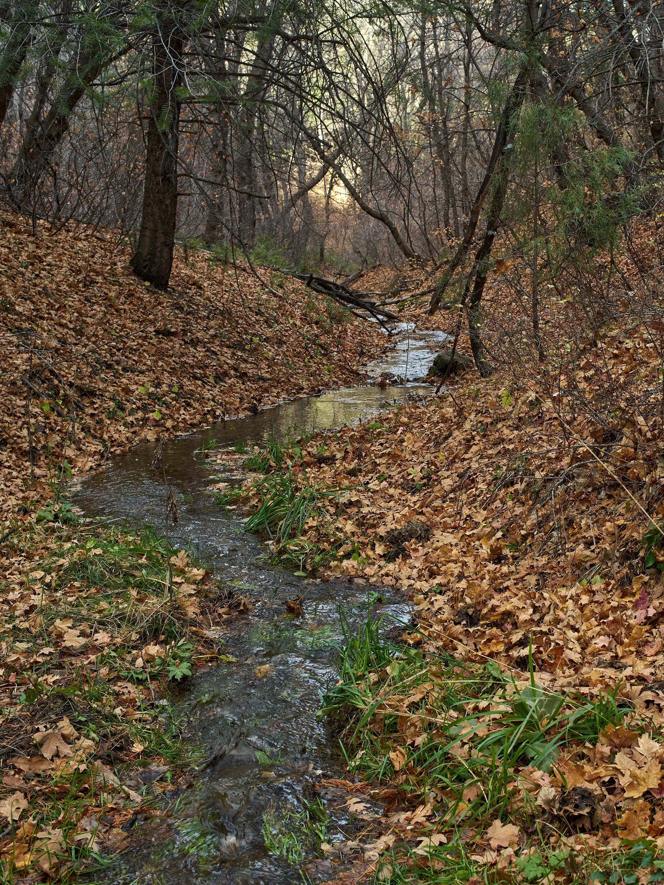 Autumn 2022 Oct 30 2022 098a_1.jpg