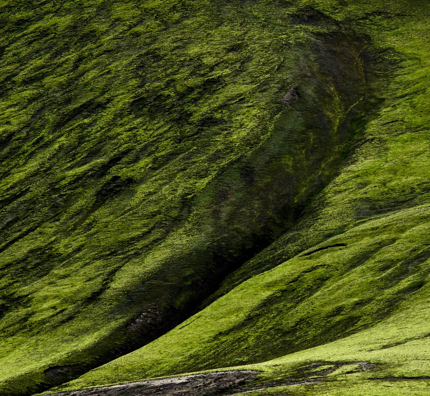 IG Hnausapollur-0050.jpg