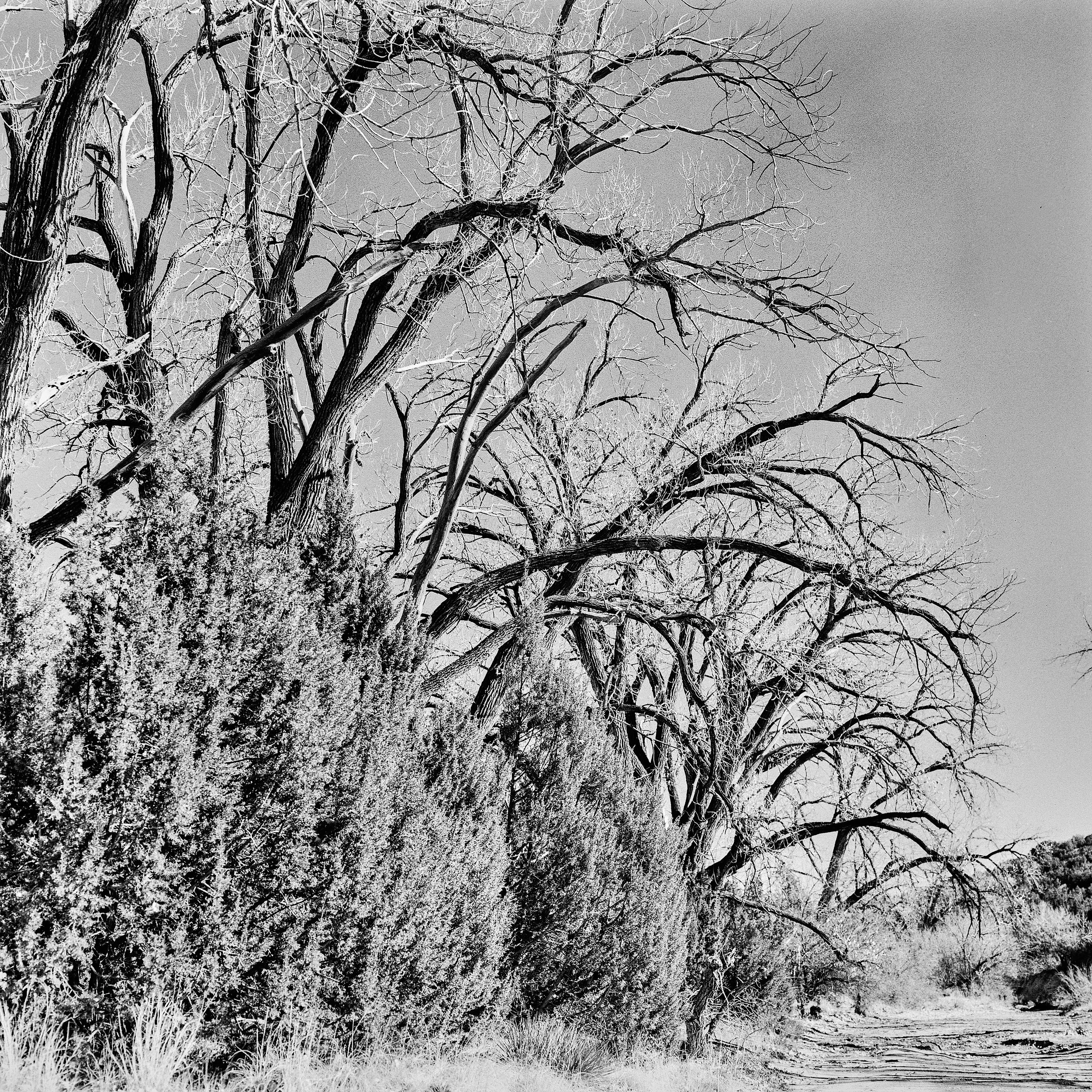 DSC07816n_1.jpg