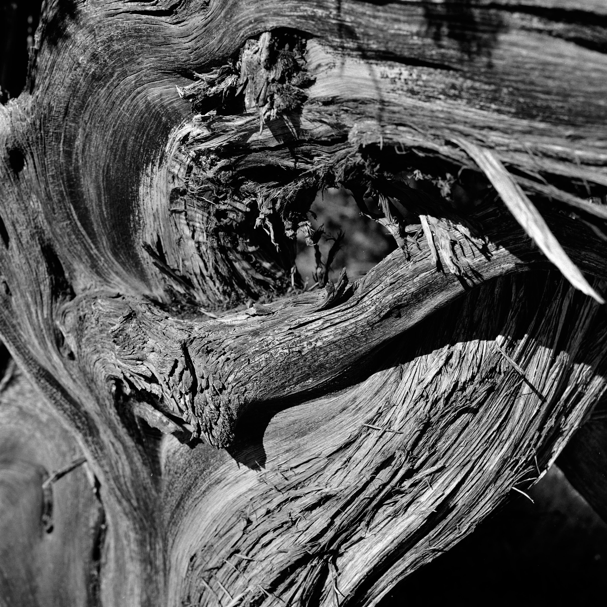 DSC07787_1.jpg
