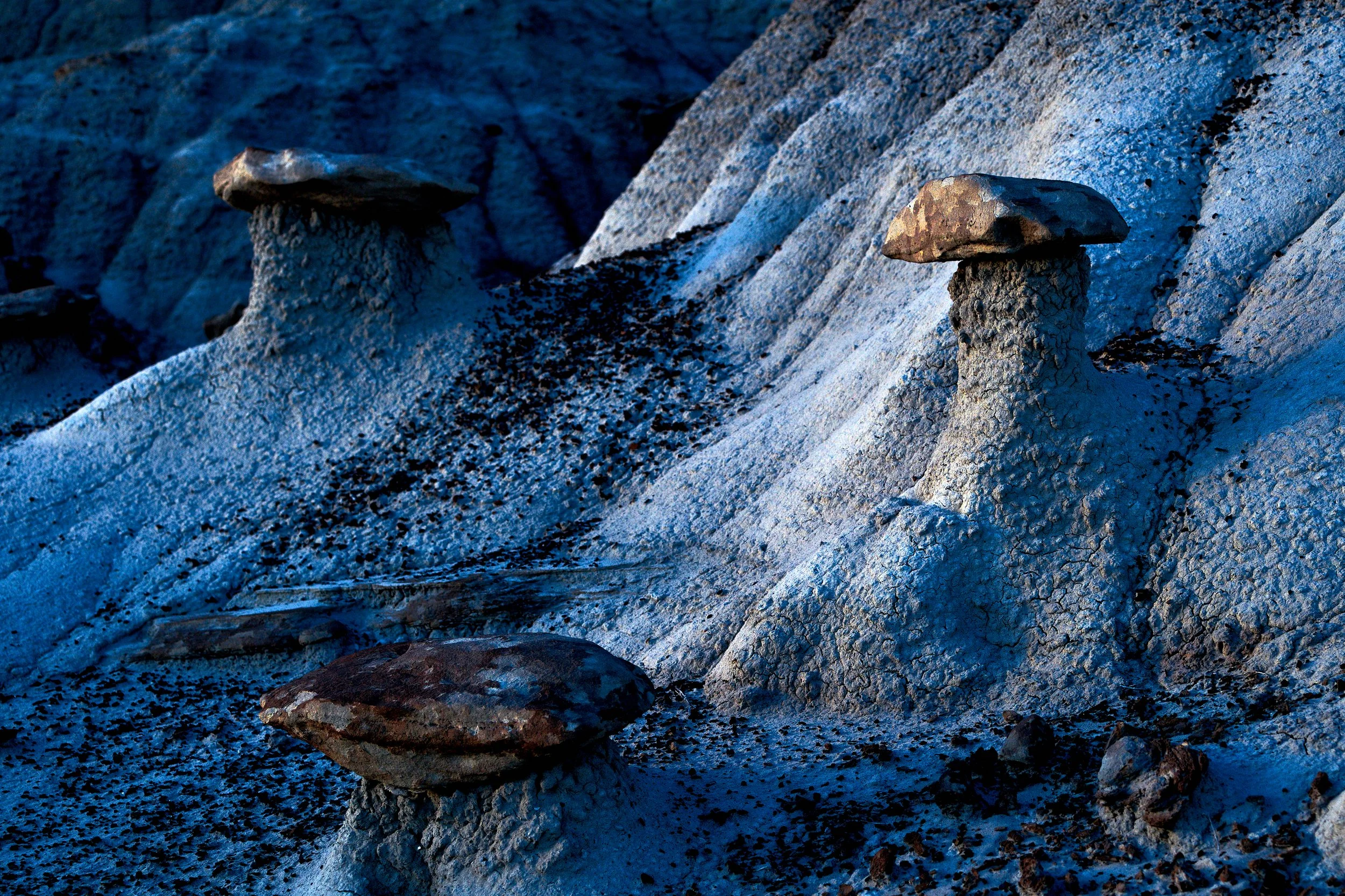  Winter 2023 Feb 03 2023 074f.jpg