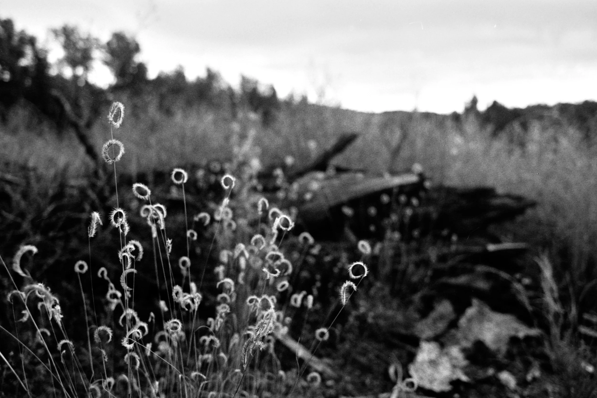 REPROCESSED Winter 2026 Contax Jan 10 2026 006_1.jpg