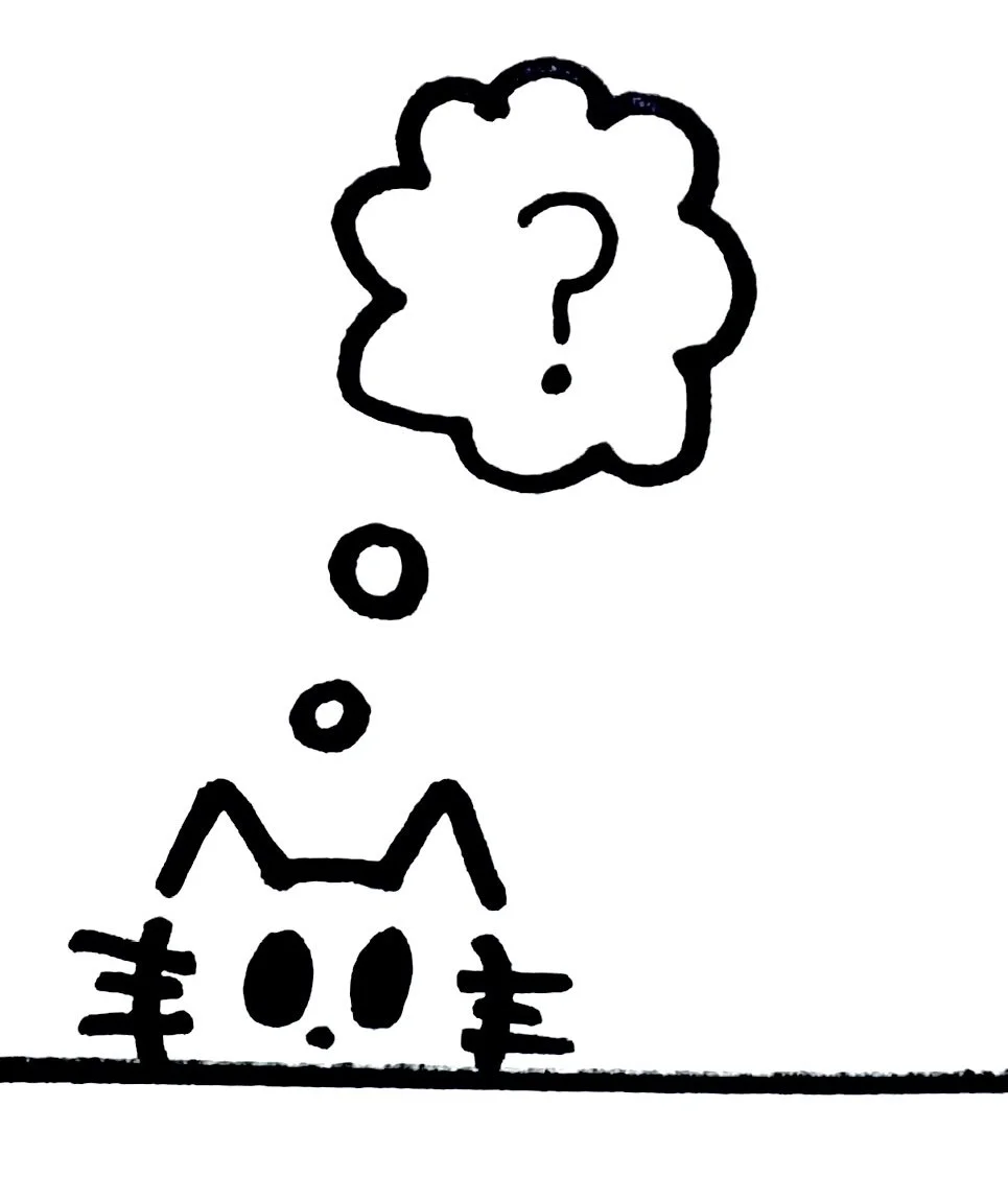 Illustration of a confused cat